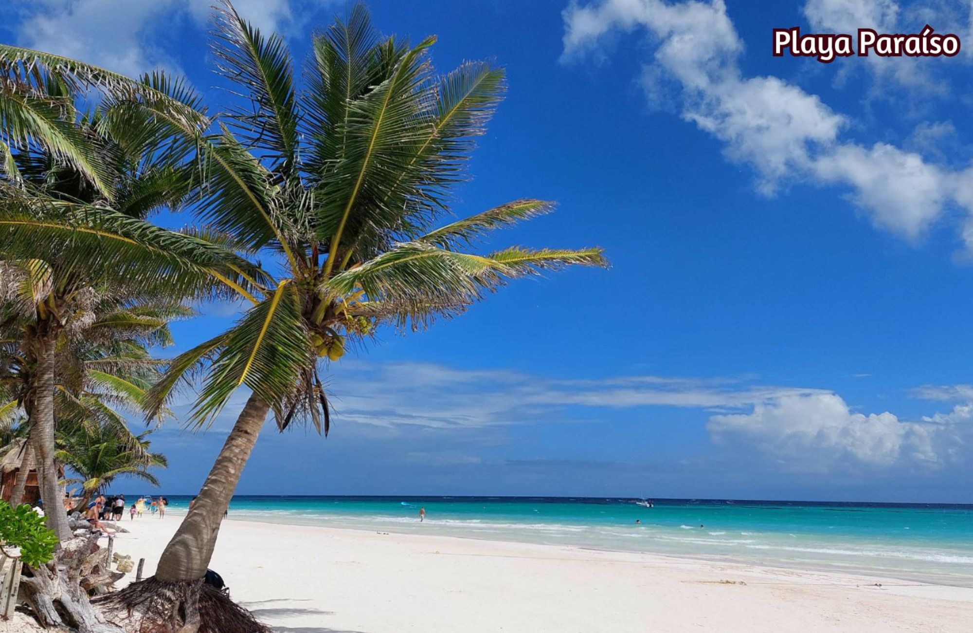 Swim up condo, direct access to the pool from your terrace, gym, restaurant, outdoor yoga area, bicycles, 5 minutes from the beach