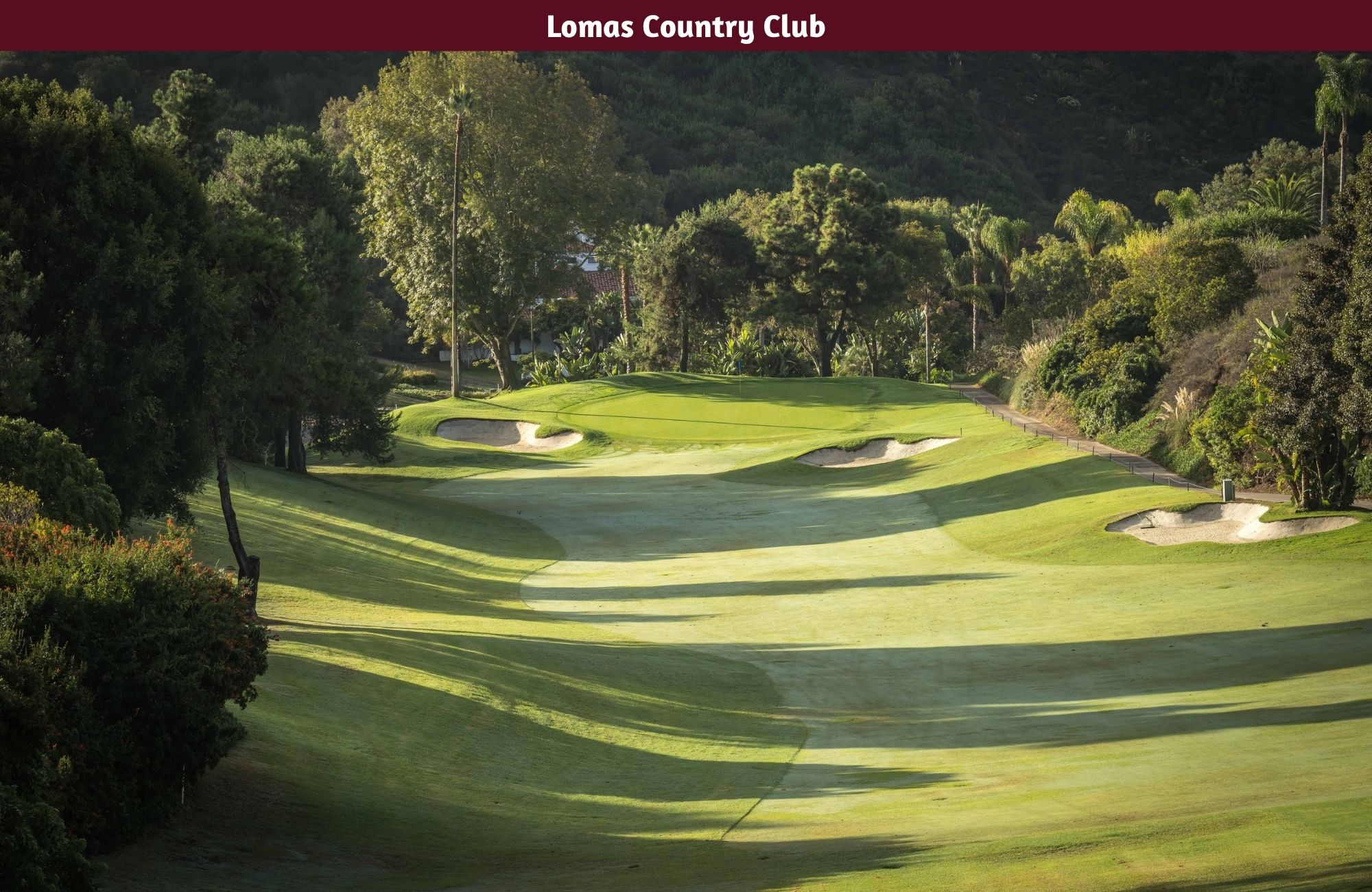 Residence with garden, jacuzzi, playground, library, utility room, parking for 5 cars, in Bosques de las Lomas for sale