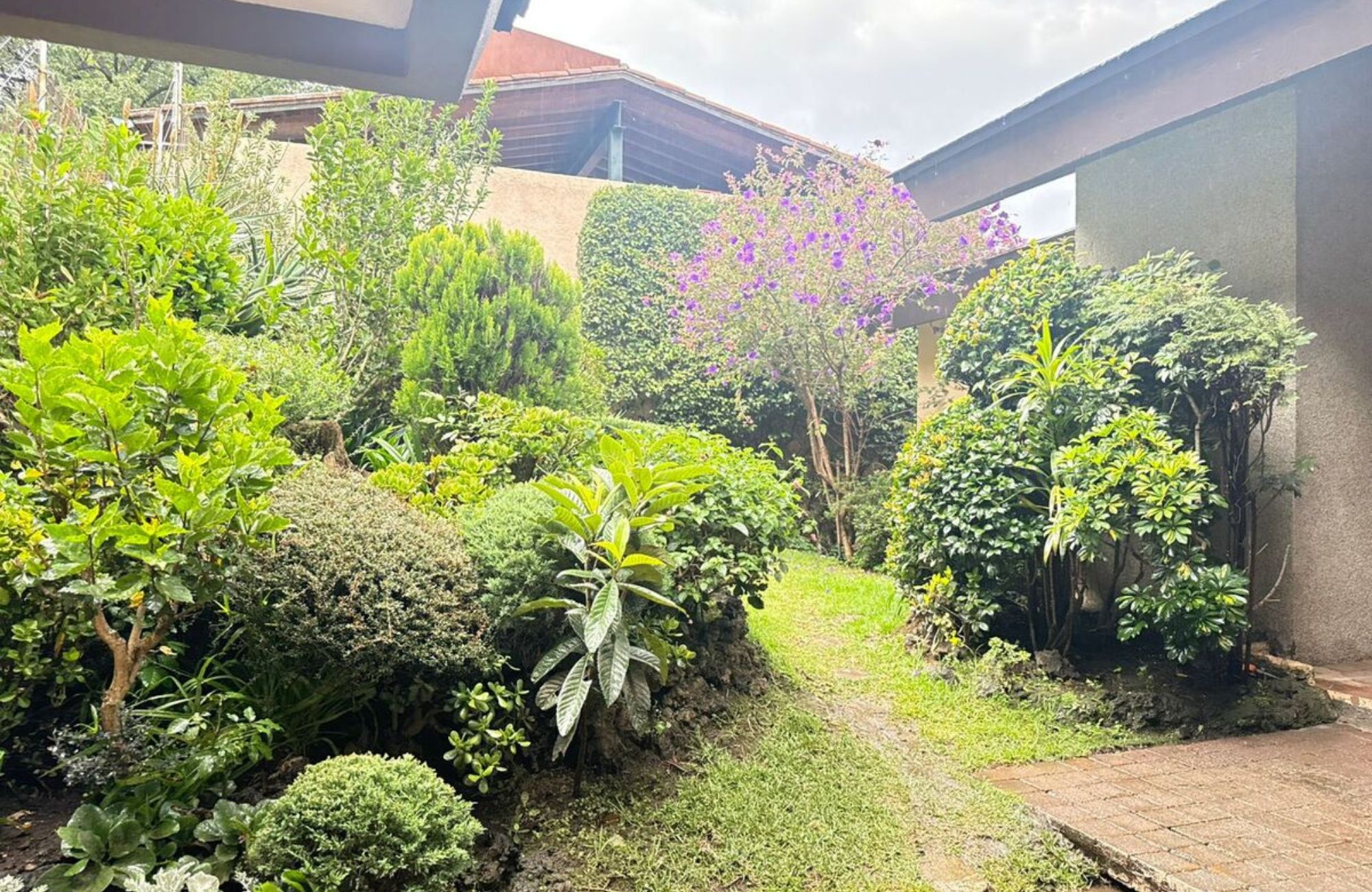 Residence with garden, jacuzzi, playground, library, utility room, parking for 5 cars, in Bosques de las Lomas for sale