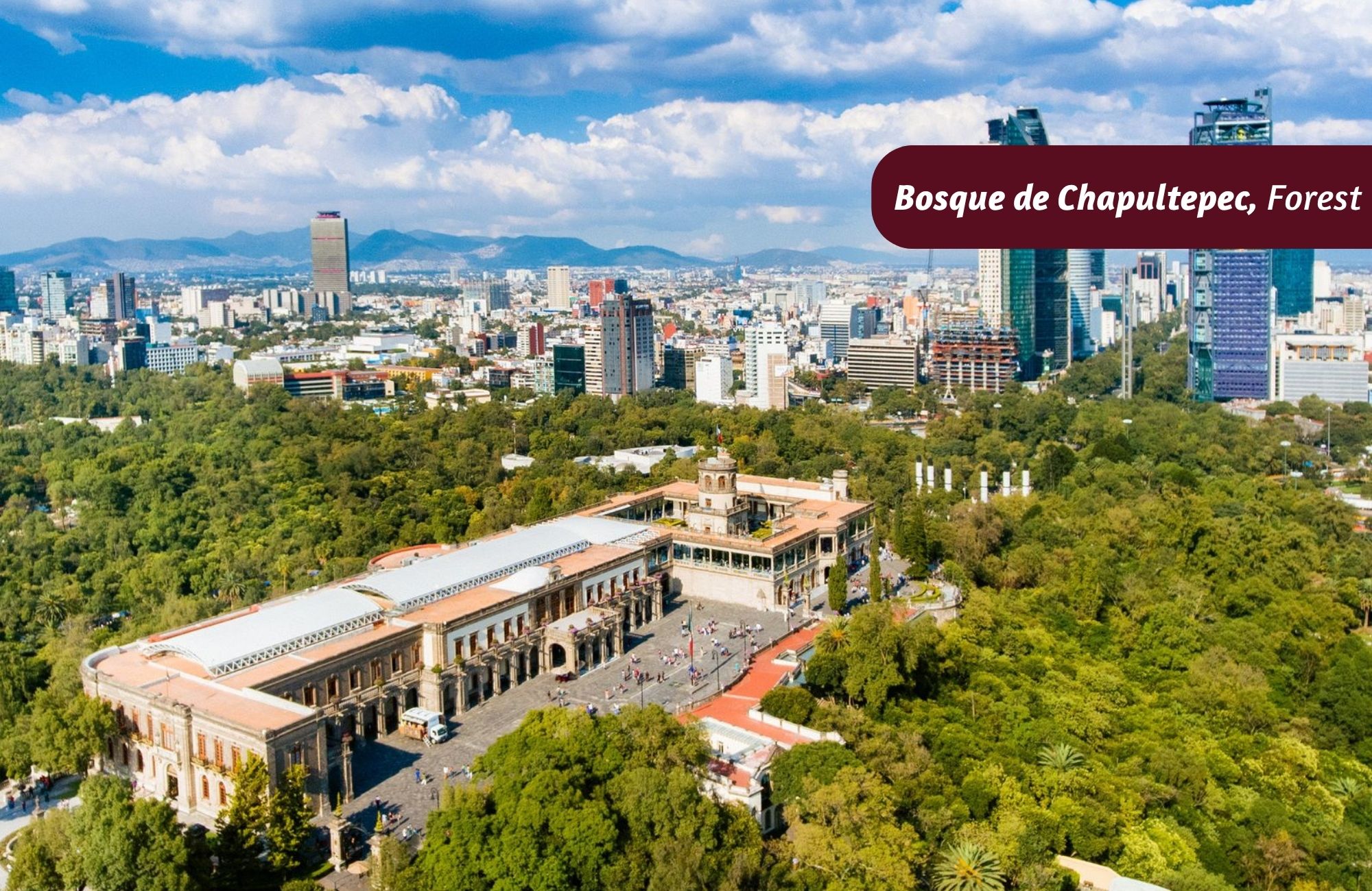 Land for Sale in a Luxury Area of Bosques de las Lomas