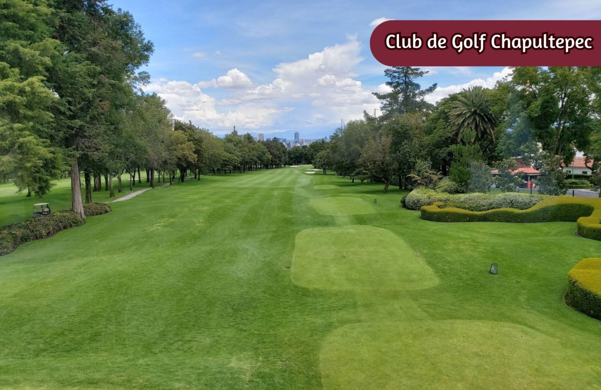 Luxury Penthouse for Sale with Terraces and Views of Chapultepec, Polanco, CDMX