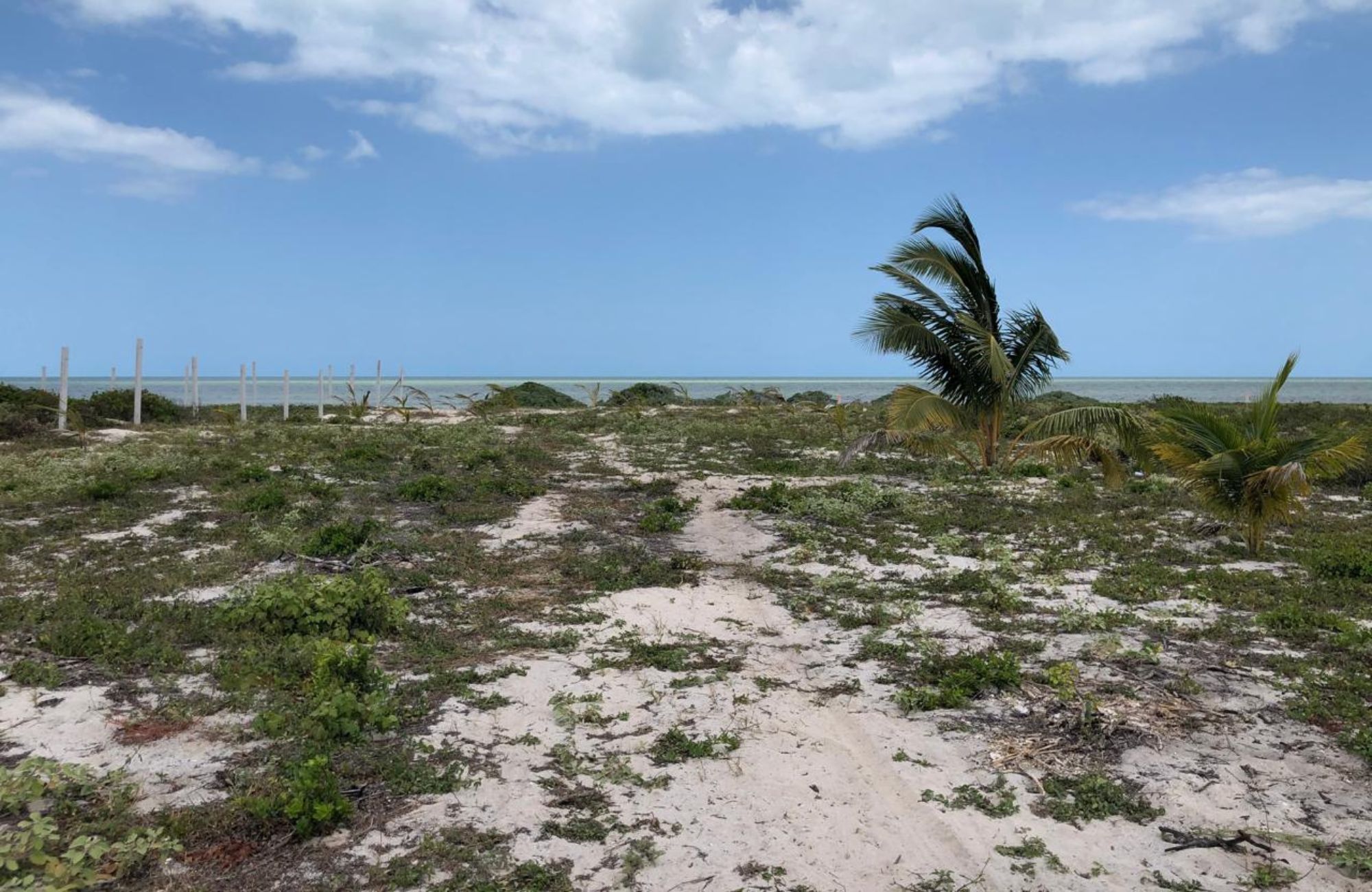 Residential lot for sale in gated community, Yucat&aacute;n Country Club, M&eacute;rida