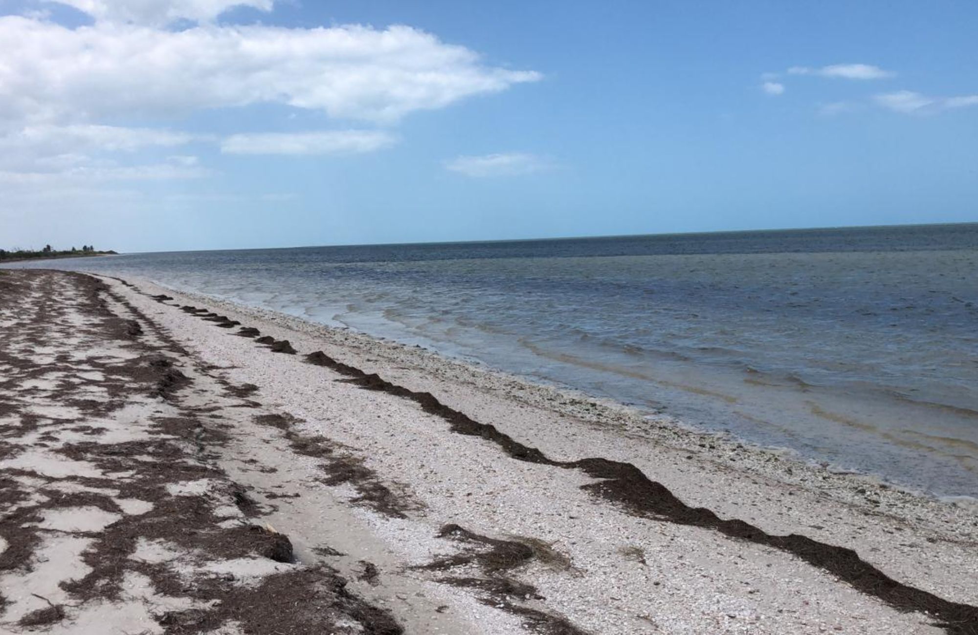 Residential lot for sale in gated community, Yucat&aacute;n Country Club, M&eacute;rida