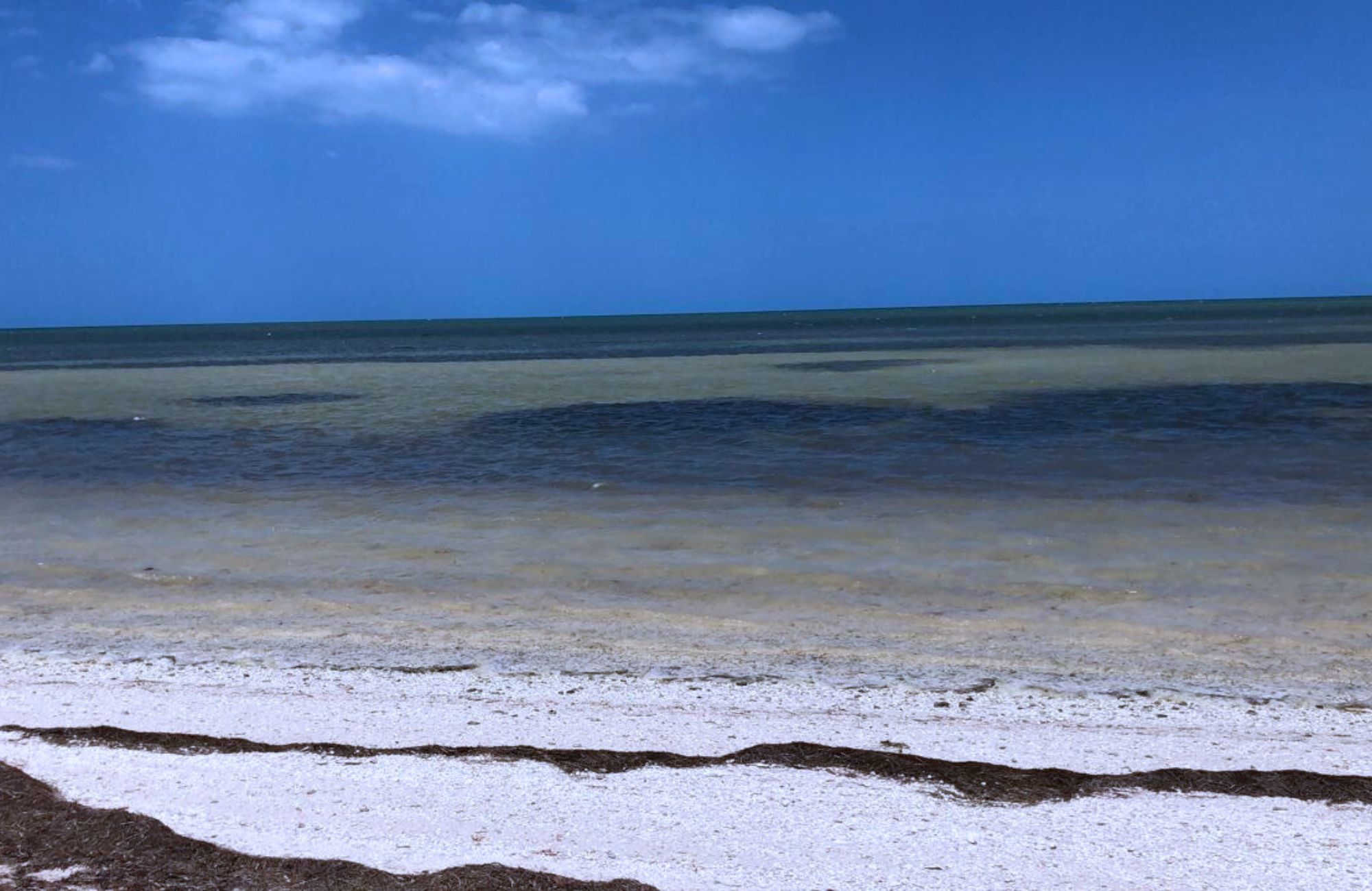 Residential lot for sale in gated community, Yucat&aacute;n Country Club, M&eacute;rida