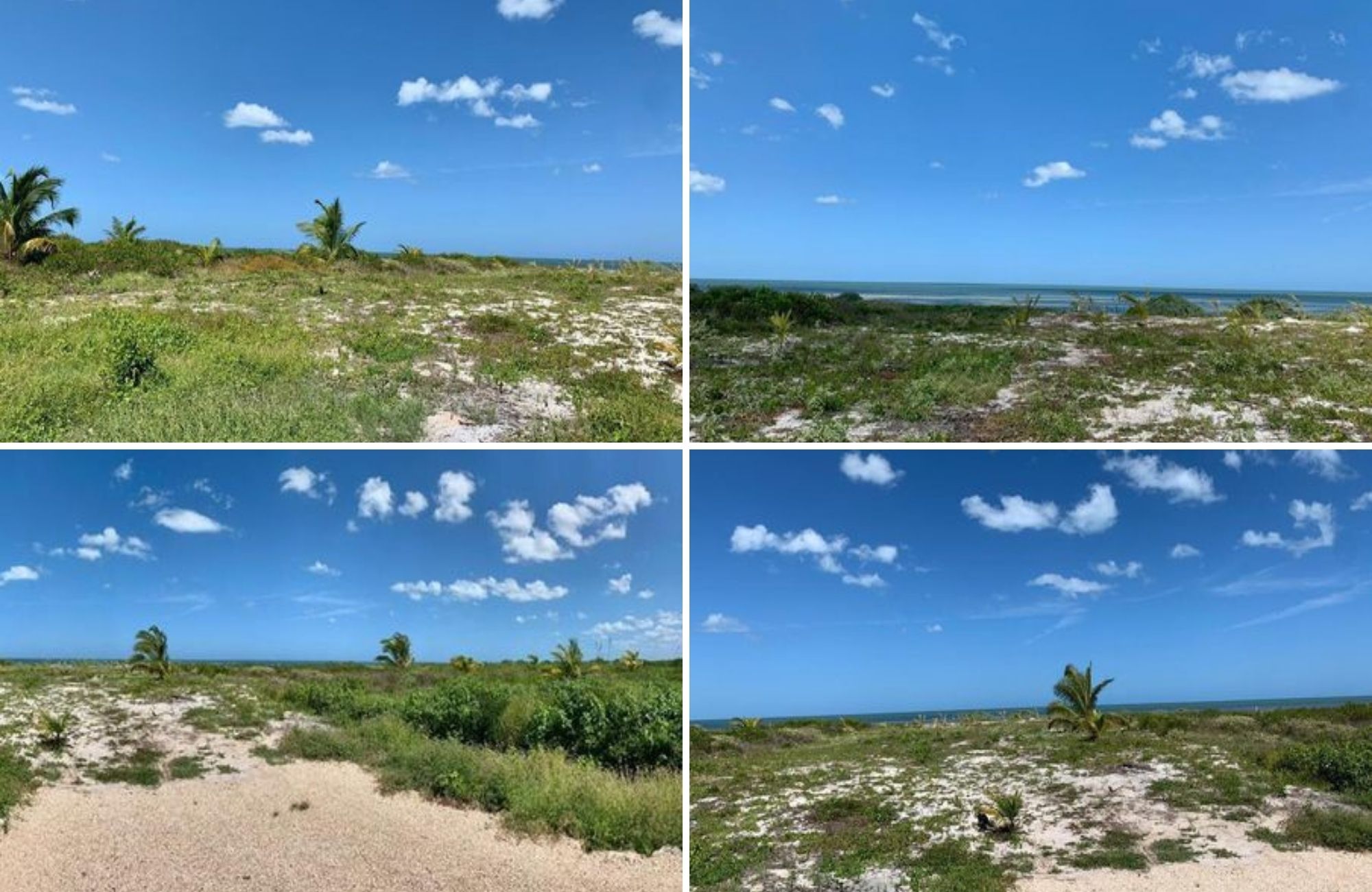 Residential lot for sale in gated community, Yucat&aacute;n Country Club, M&eacute;rida