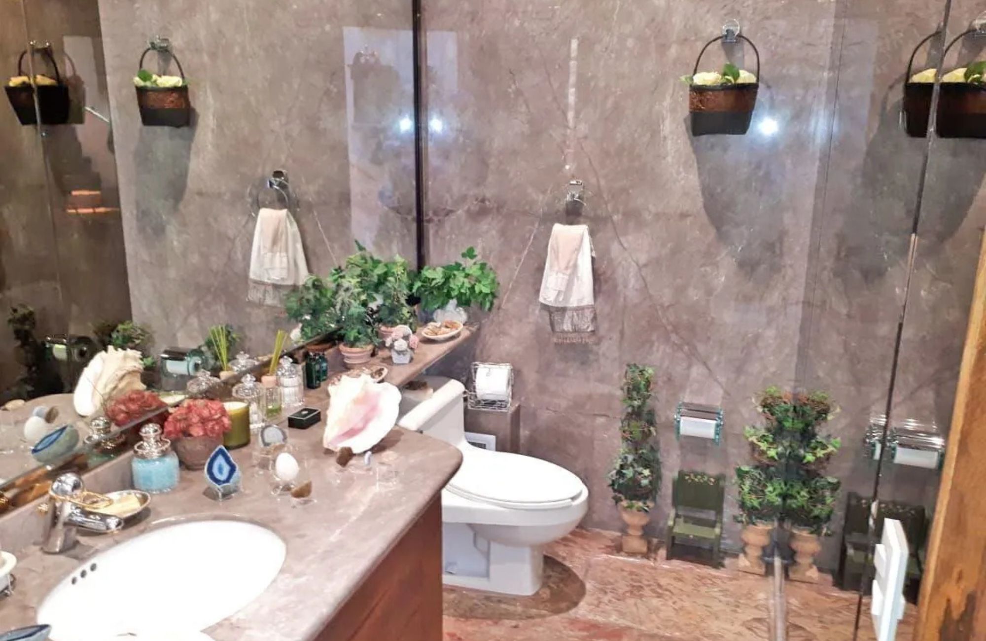 House with study, spacious garden, and terrace for sale, Miguel Hidalgo, CDMX