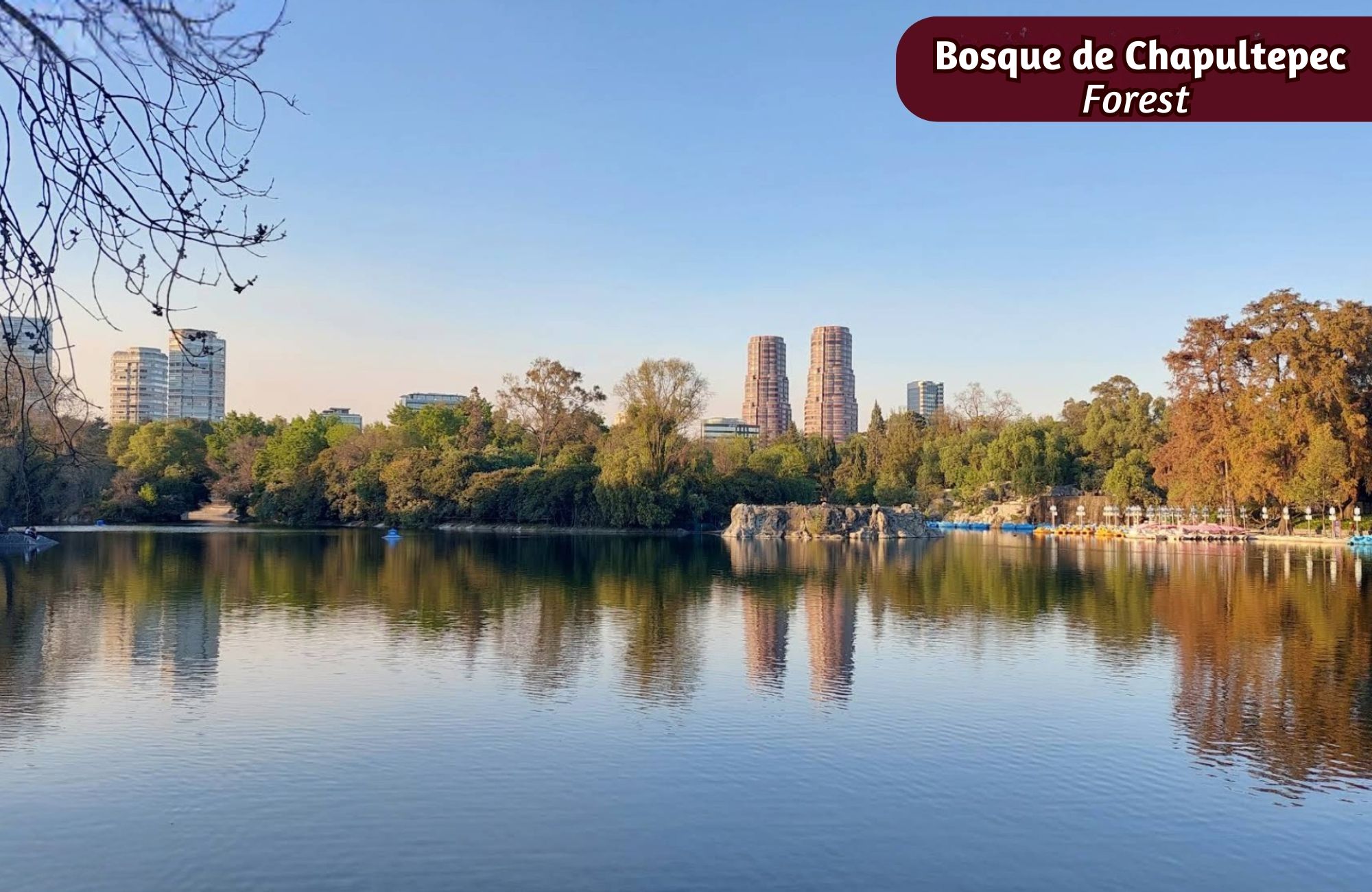 House with study, spacious garden, and terrace for sale, Miguel Hidalgo, CDMX