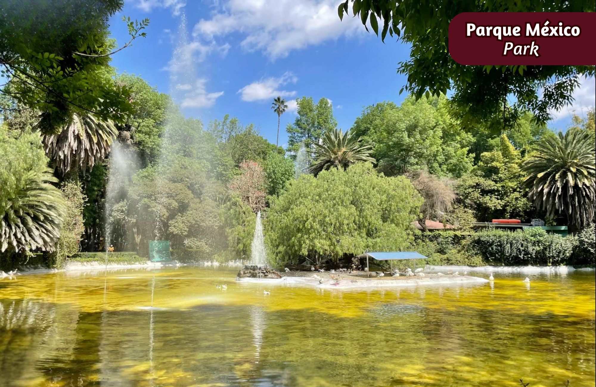 Single-level apartment for sale, Benito Ju&aacute;rez, Mexico City
