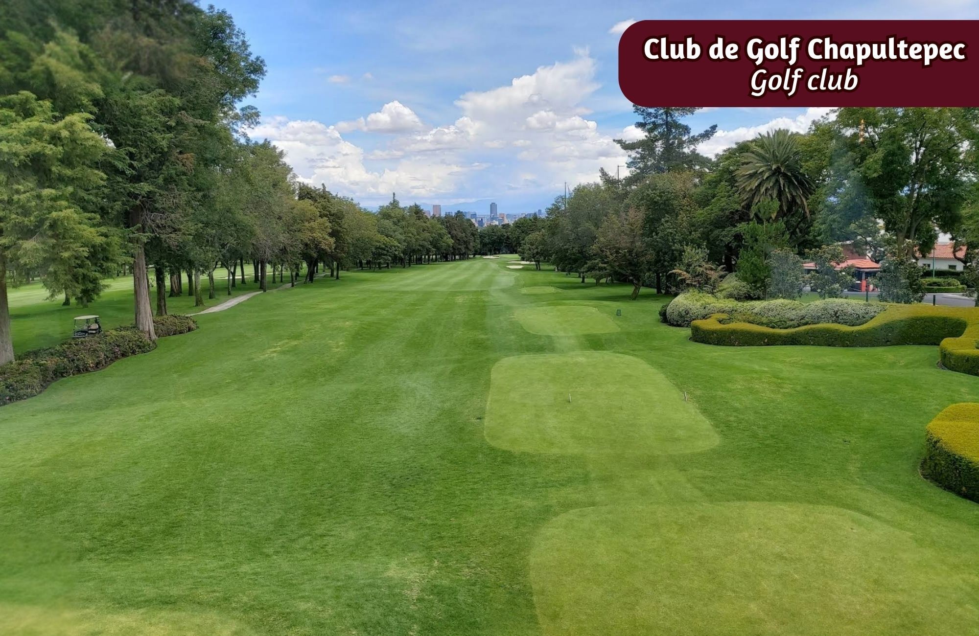 High-end residence for sale in the prestigious Bosques de las Lomas, Mexico City