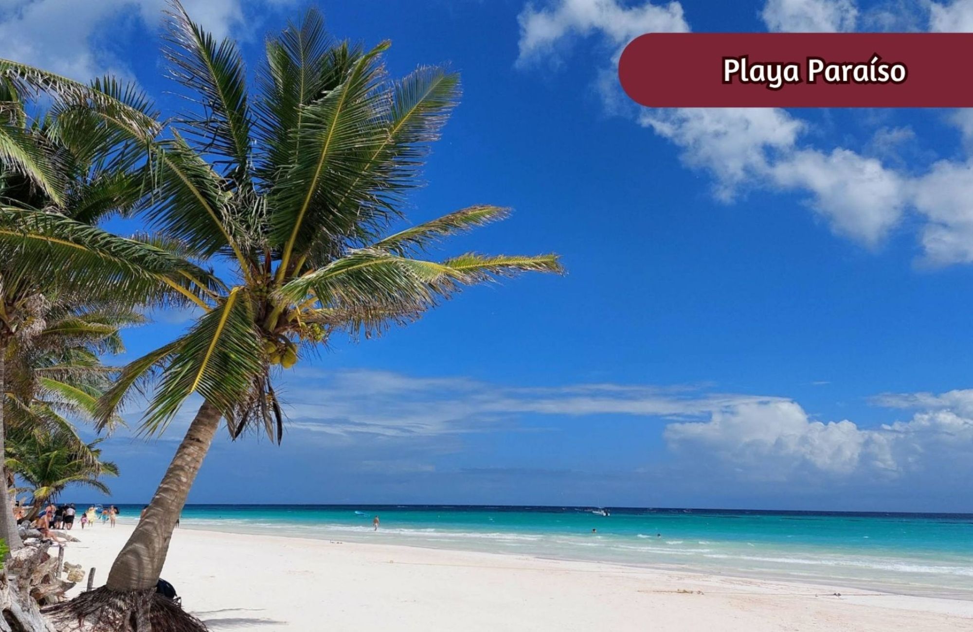 House with private pool, sun deck, and garden for sale in Aldea Zama, Tulum