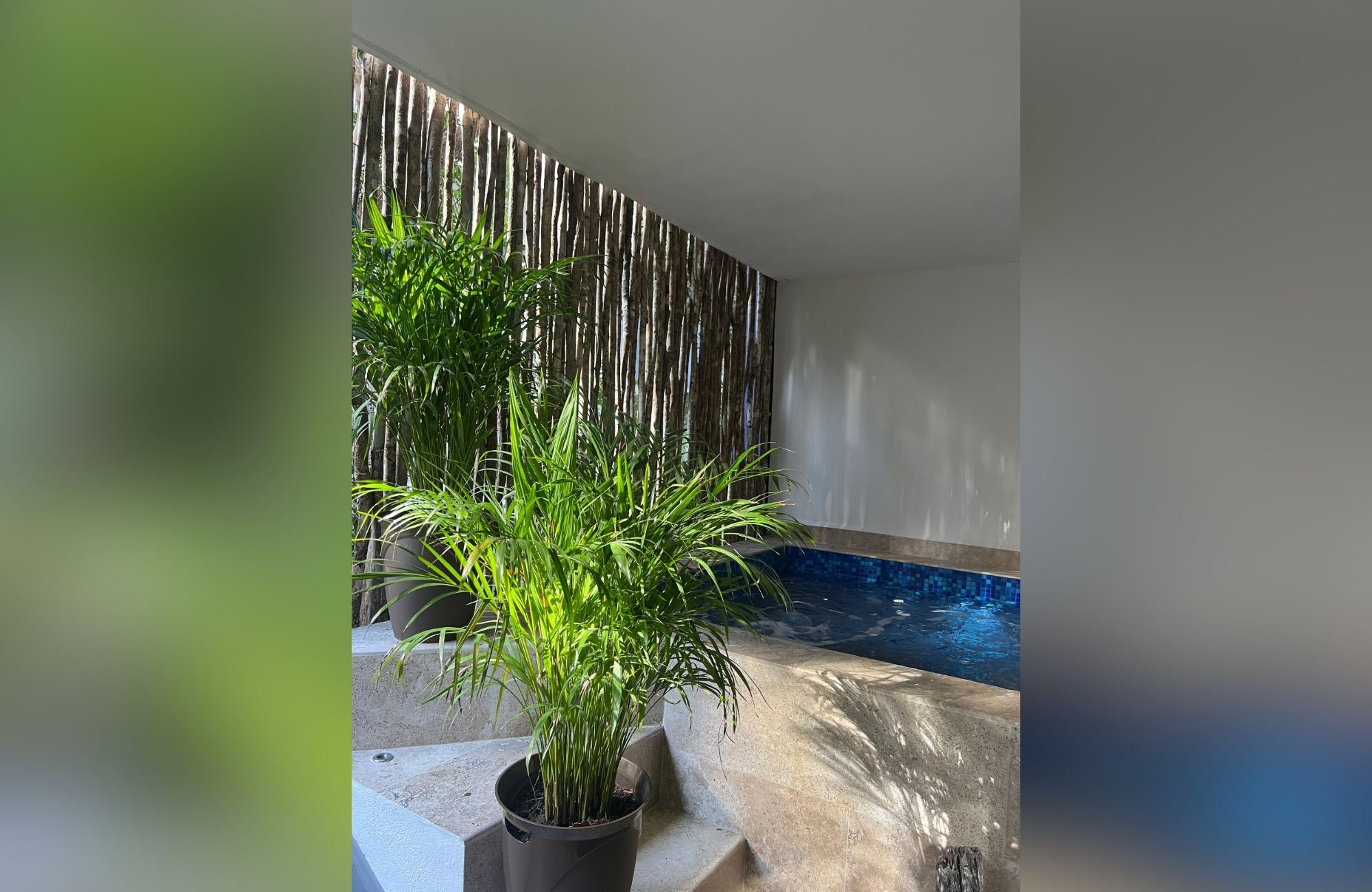 Green view condo, gym, business center, yoga and gym area, hammock garden, green areas in Aldea Zama Tulum, for sale.