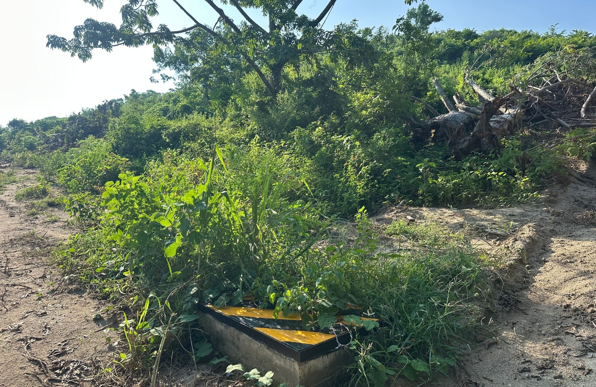 Residential lot now with a reduced price from $1,200,000 to $900,000 MXN, for sale in Cuatunalco, Huatulco.