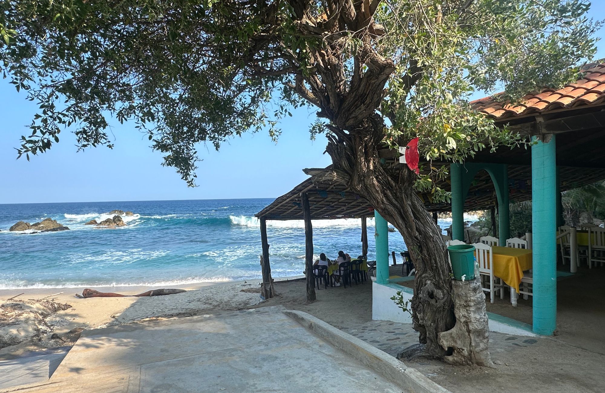 Residential lot now with a reduced price from $1,200,000 to $900,000 MXN, for sale in Cuatunalco, Huatulco.