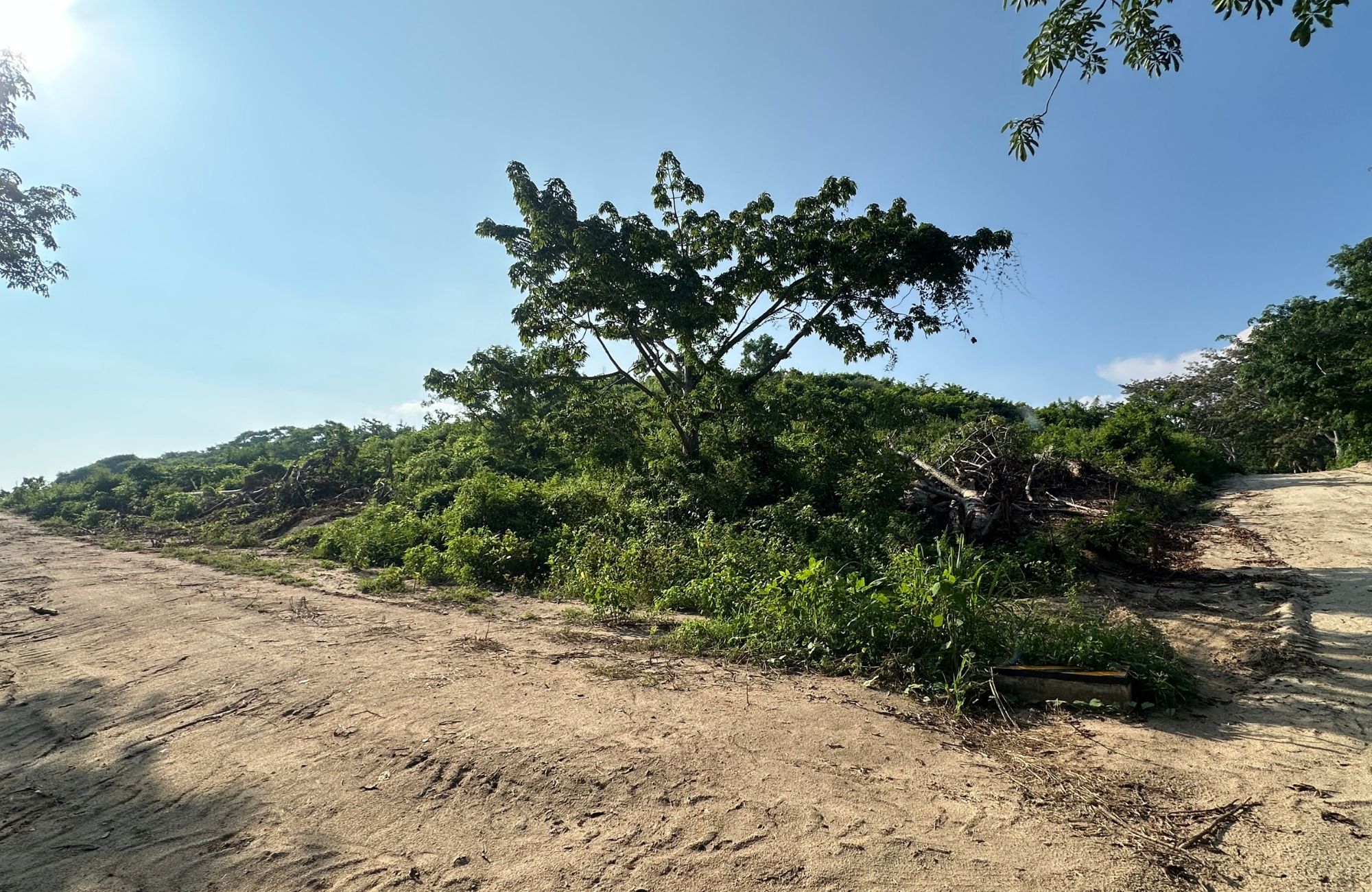 Residential lot now with a reduced price from $1,200,000 to $900,000 MXN, for sale in Cuatunalco, Huatulco.