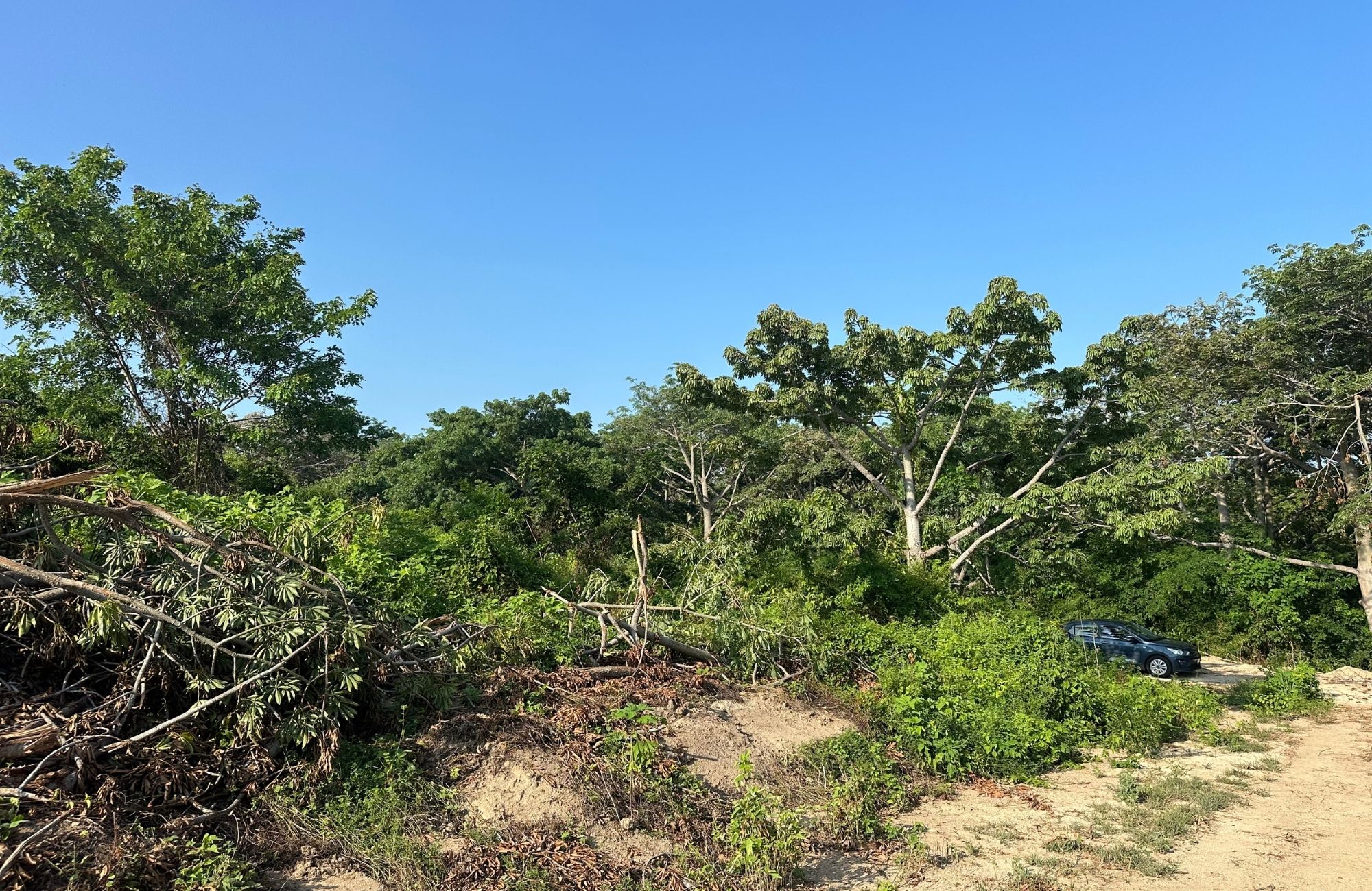 Residential lot now with a reduced price from $1,200,000 to $900,000 MXN, for sale in Cuatunalco, Huatulco.