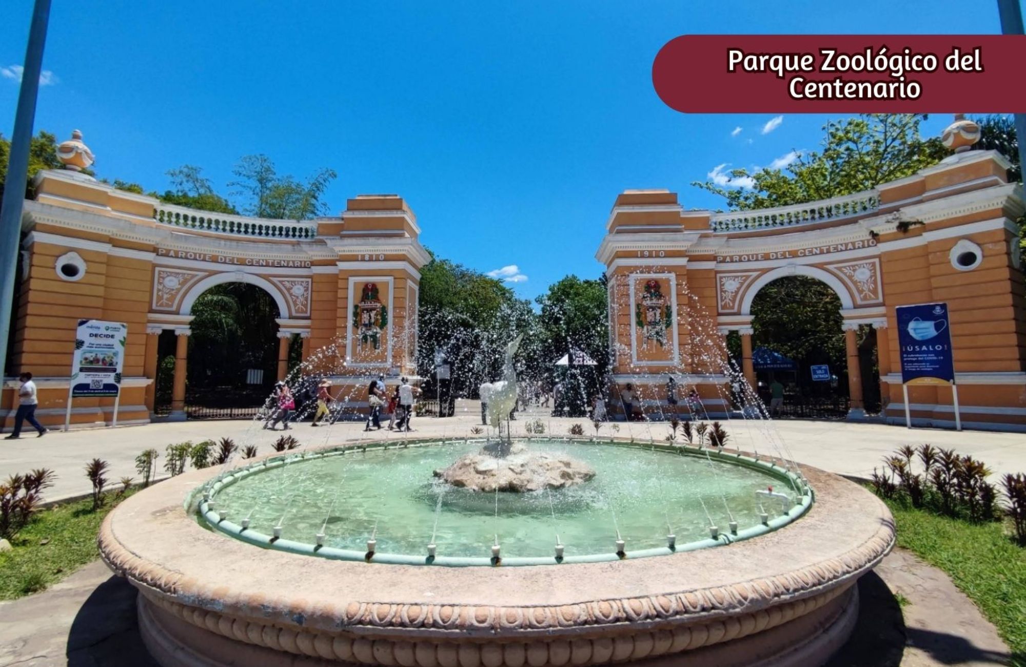 Casa Remodelada con alberca privada en venta, Centro, M&eacute;rida