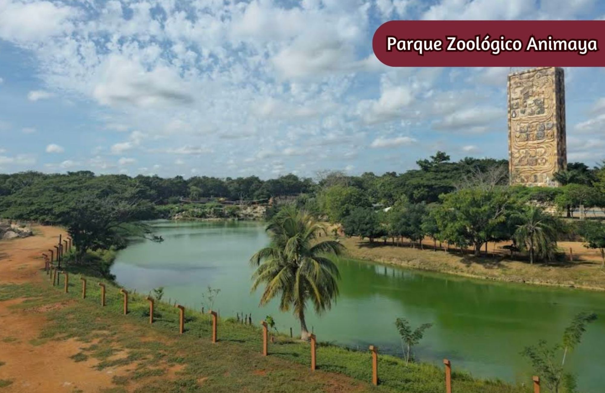 Casa Remodelada con alberca privada en venta, Centro, M&eacute;rida