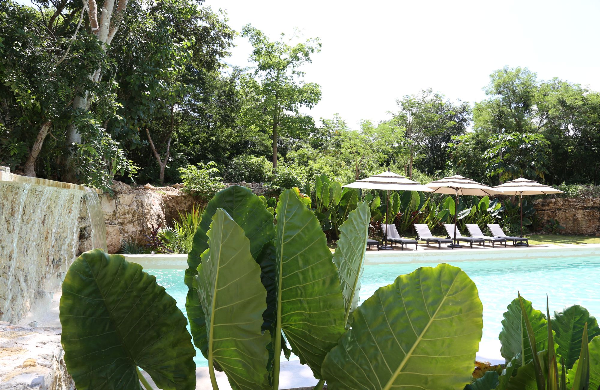 Apartment with garden, terrace, pool, sauna and jacuzzi, for sale, Playacar.