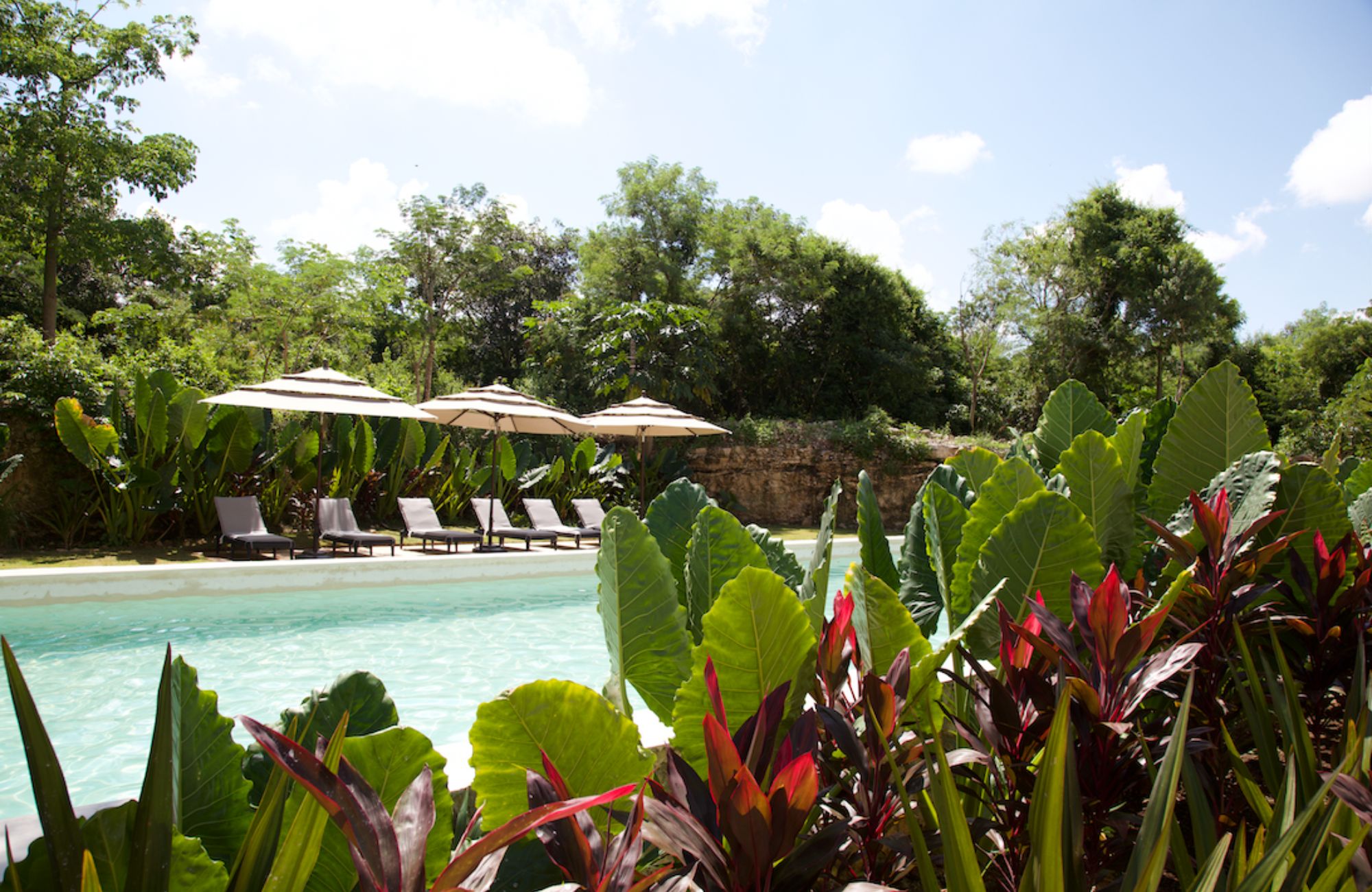 Apartment with garden, terrace, pool, sauna and jacuzzi, for sale, Playacar.