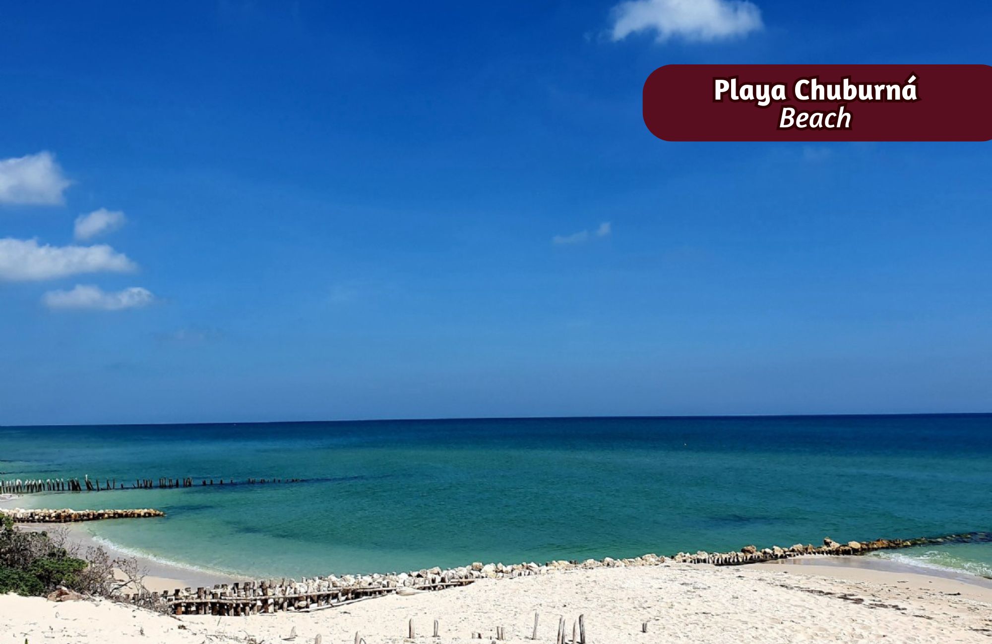 Condominio con alberca frente al mar, hamacas, terraza y palapas, pre-construcci&oacute;n,  San Crisanto, venta, Merida.