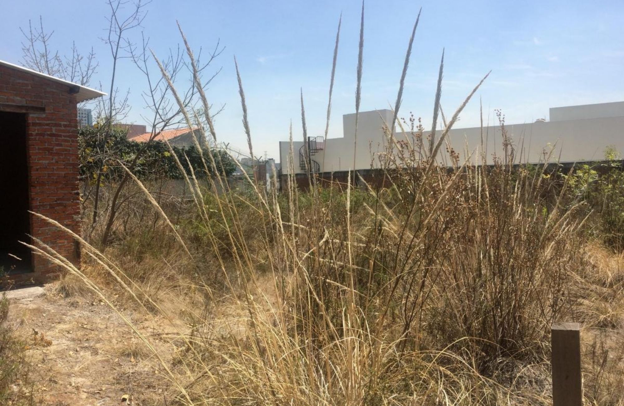 Residential Two-Lot for Sale, Bosque de las Lomas, Mexico City