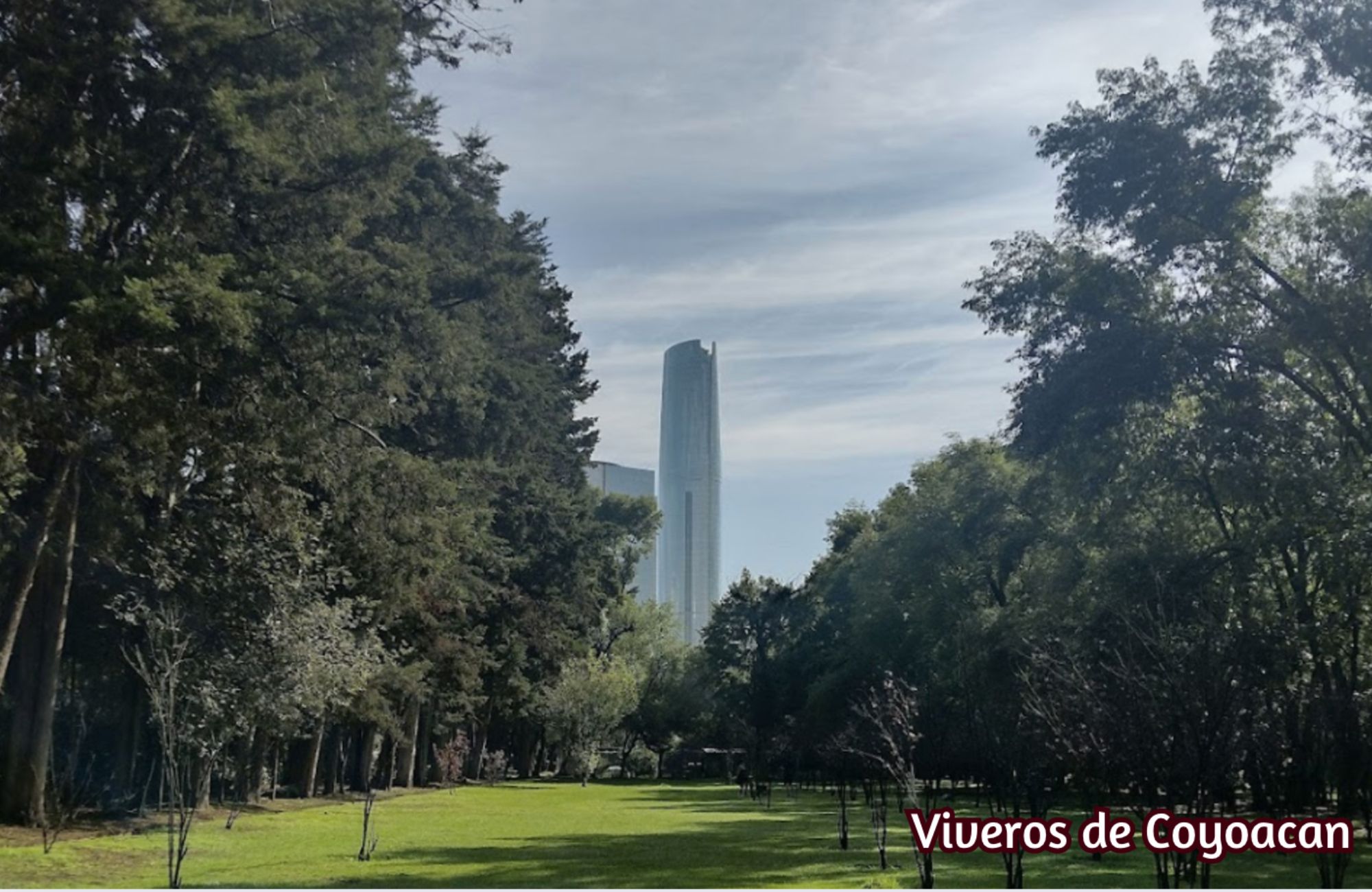 Condo with cinema, pool, gym with spinning zone, golf course view, service room, with bathroom, amenities for the whole family, pre-construc