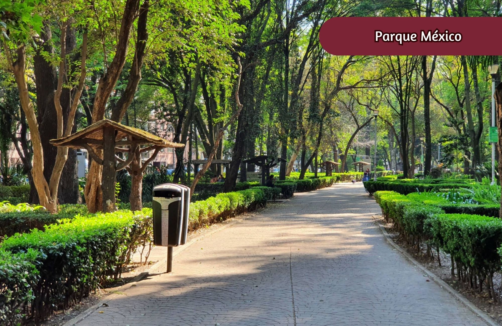 Condo with terrace, roofgarden, pre-construction, for sale,  Roma Norte, Mexico City