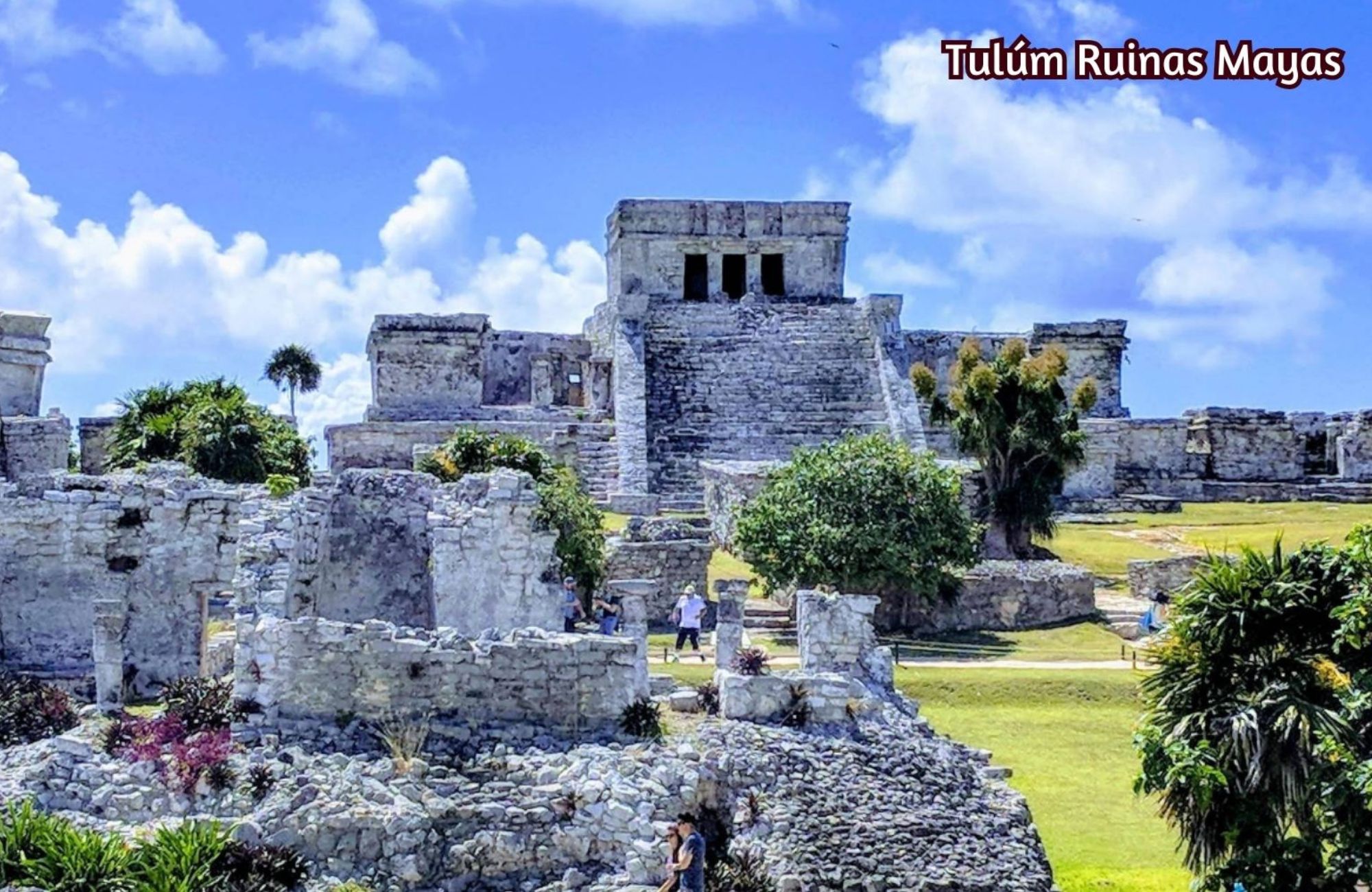 Apartment with private pool, lock-off, pre-construction, Region 15, Tulum.