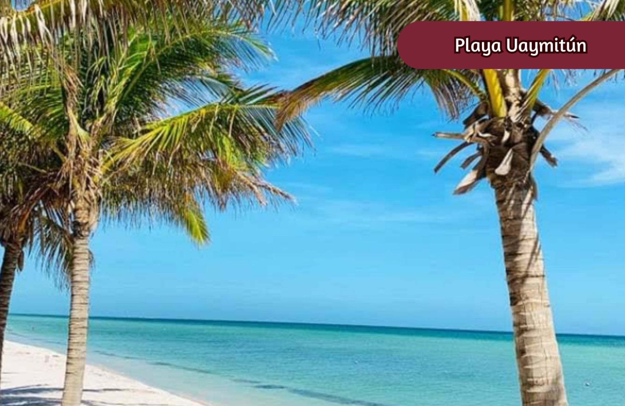 Apartment with private pool and garden, bathtub and vanity room, pet area, cigar lounge, coworking gym and more for sale Merida Norte