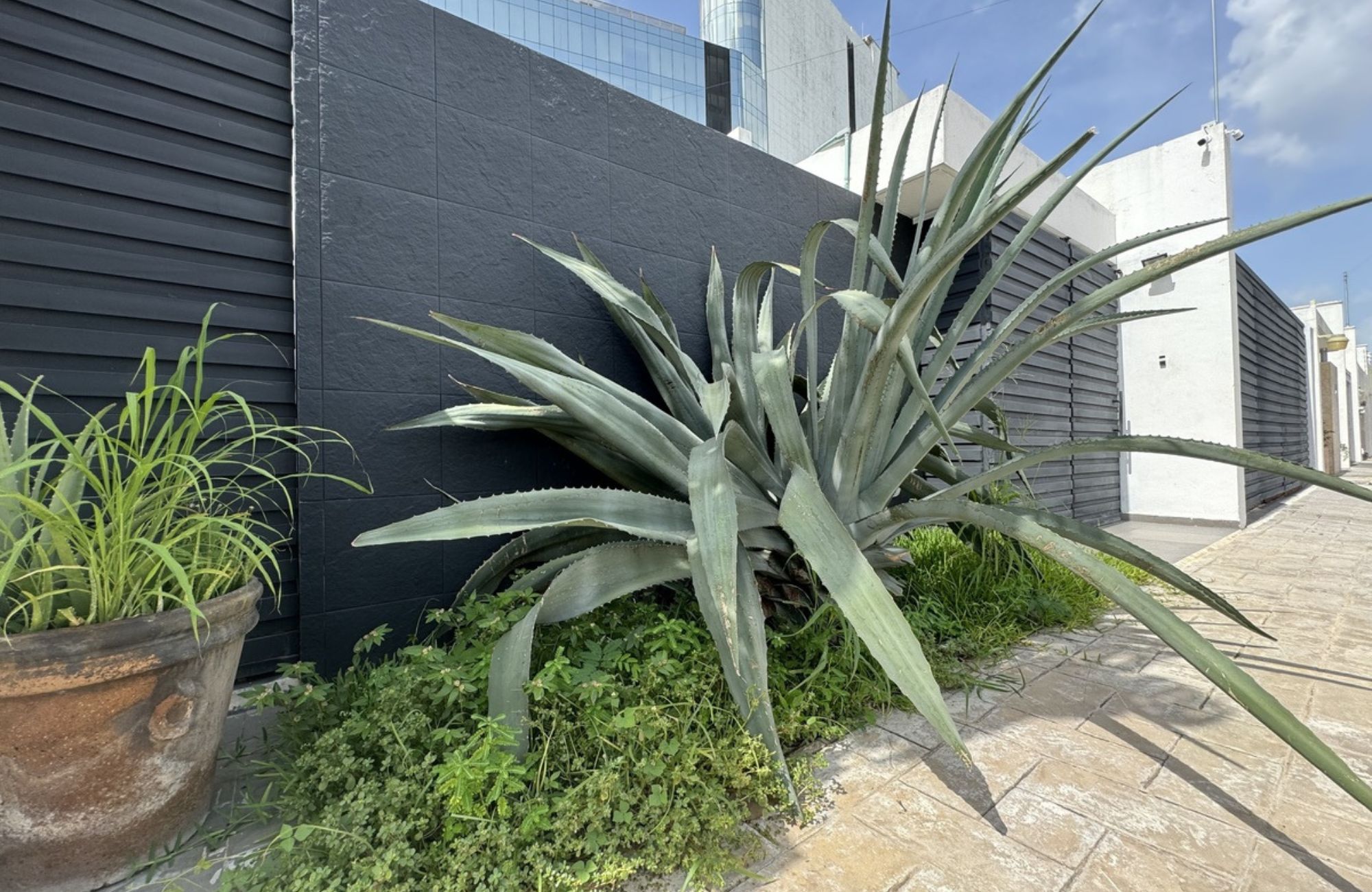 House with private pool in a gated community for sale, Zona Norte, M&eacute;rida