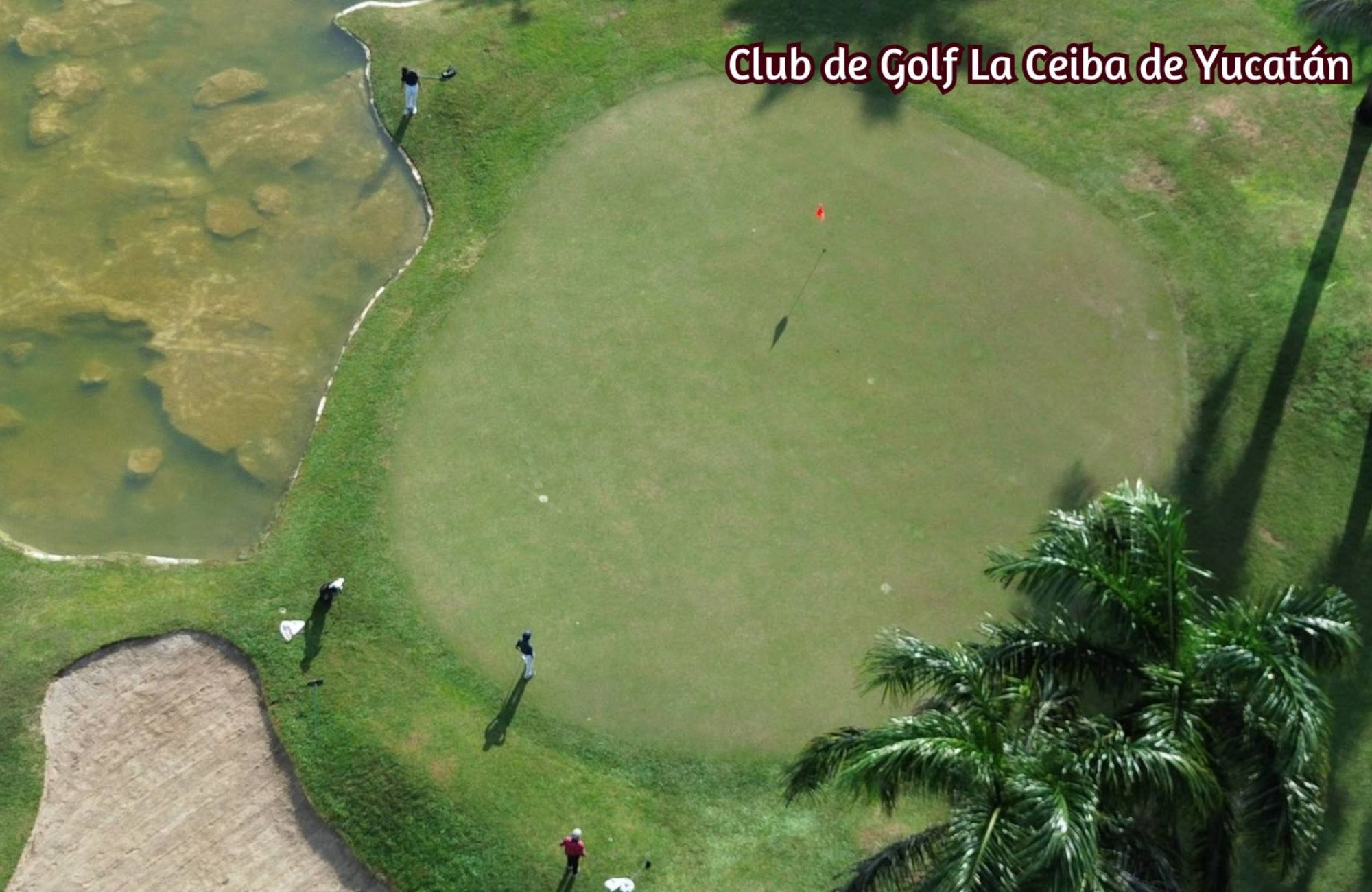 House with pool, solar panel, clubhouse with amenities, pre-sale in Merida