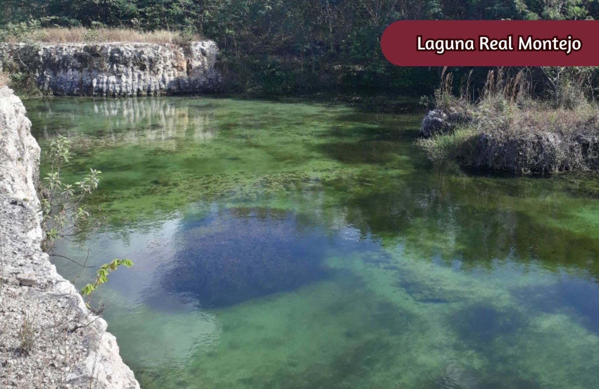 Condo with common Rooftop for Sale, Zona Norte, M&eacute;rida