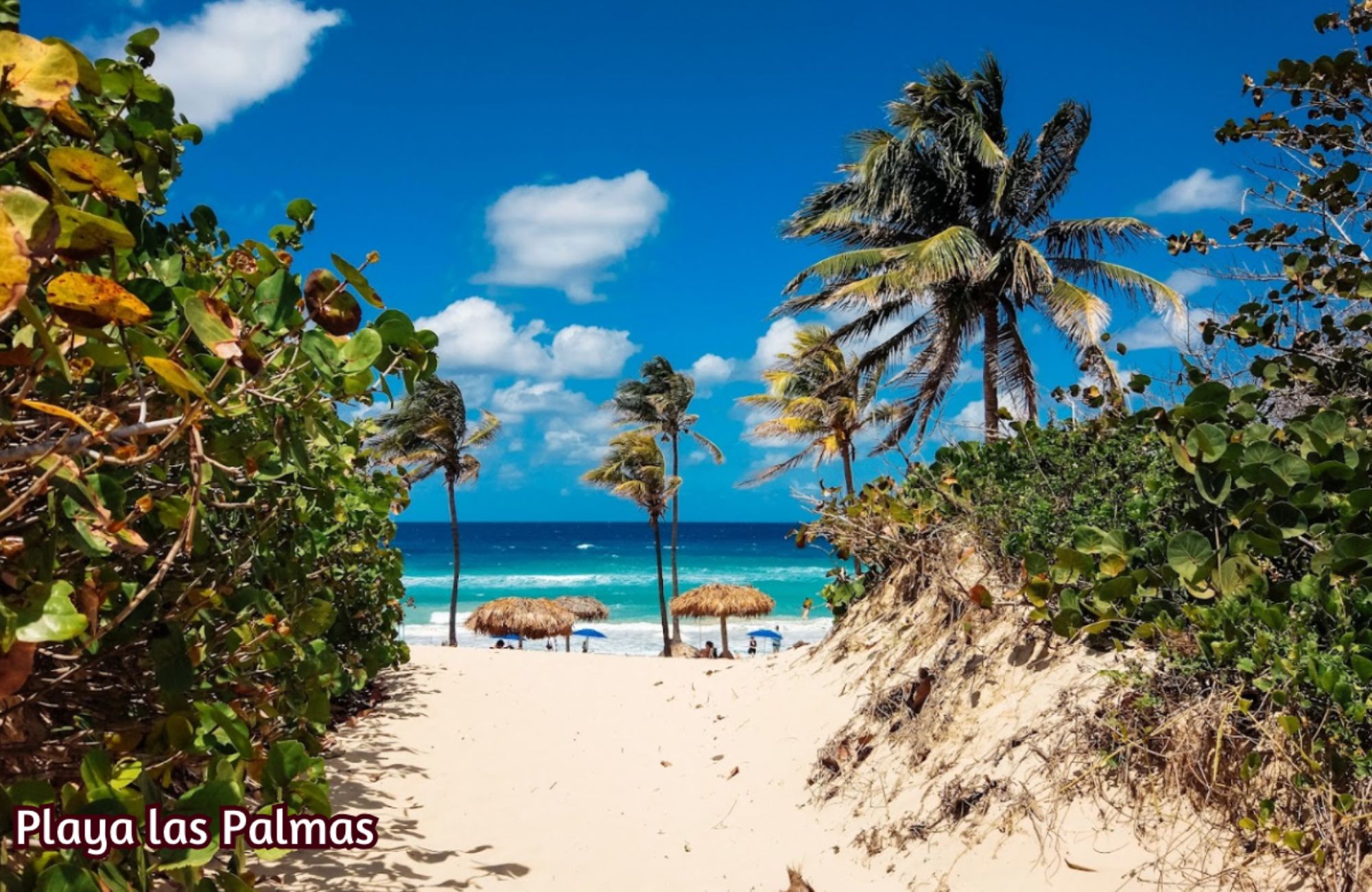 Penthouse steps from the ocean with beach club in Akumal Tulum