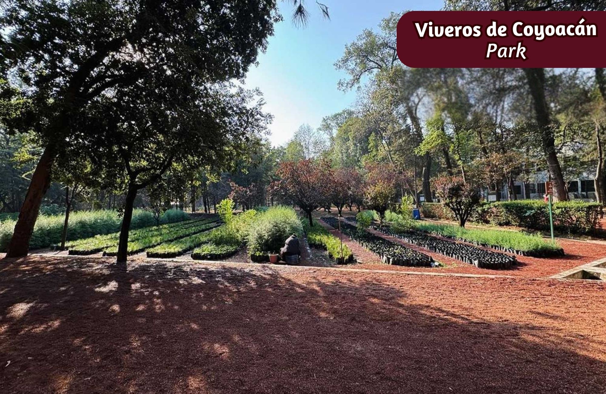 Apartment, prime location, for sale, Benito Ju&aacute;rez, Mexico City