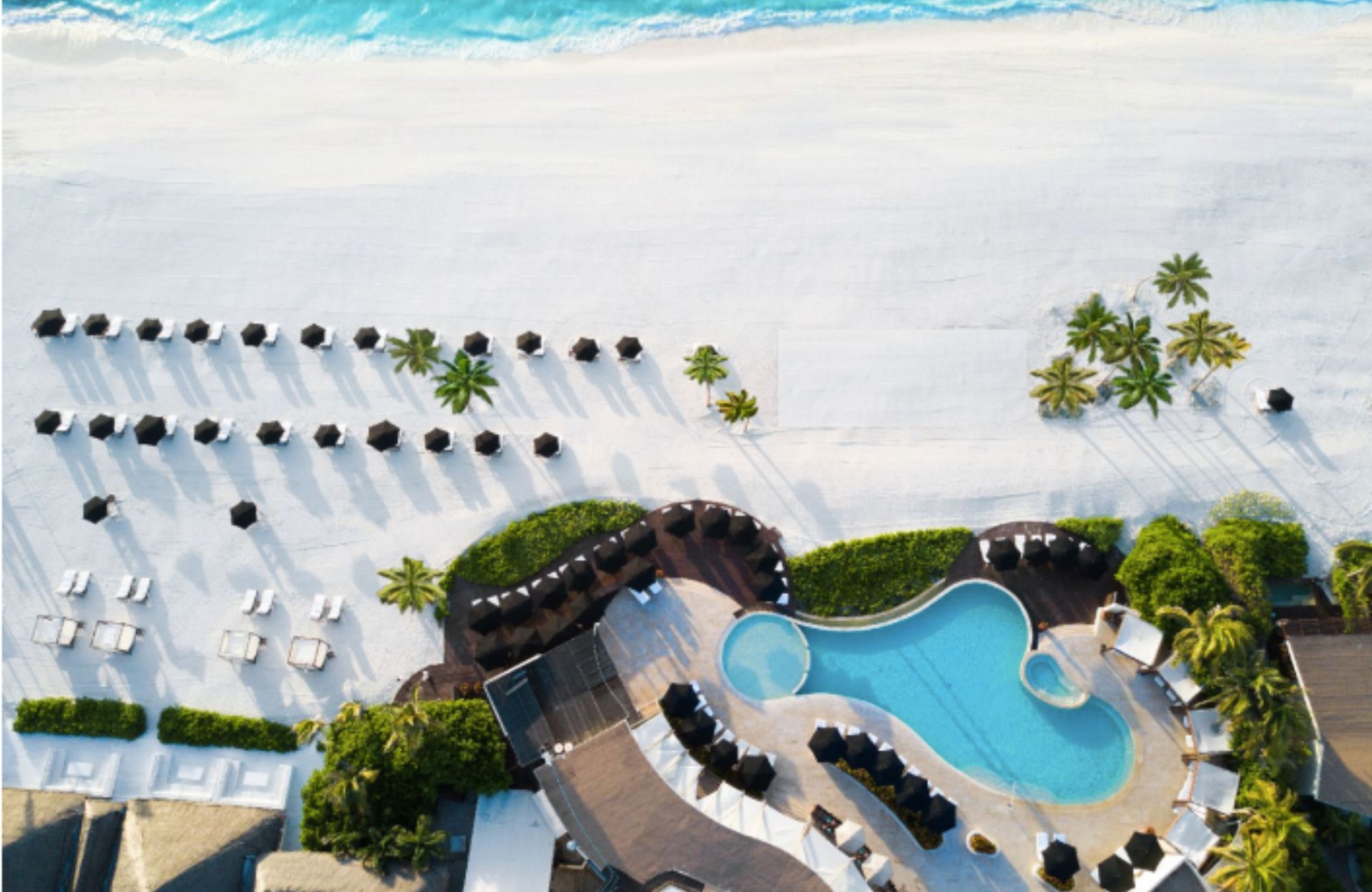 Oceanfront condominium with terrace and balcony, pre-sale Playa del Carmen.