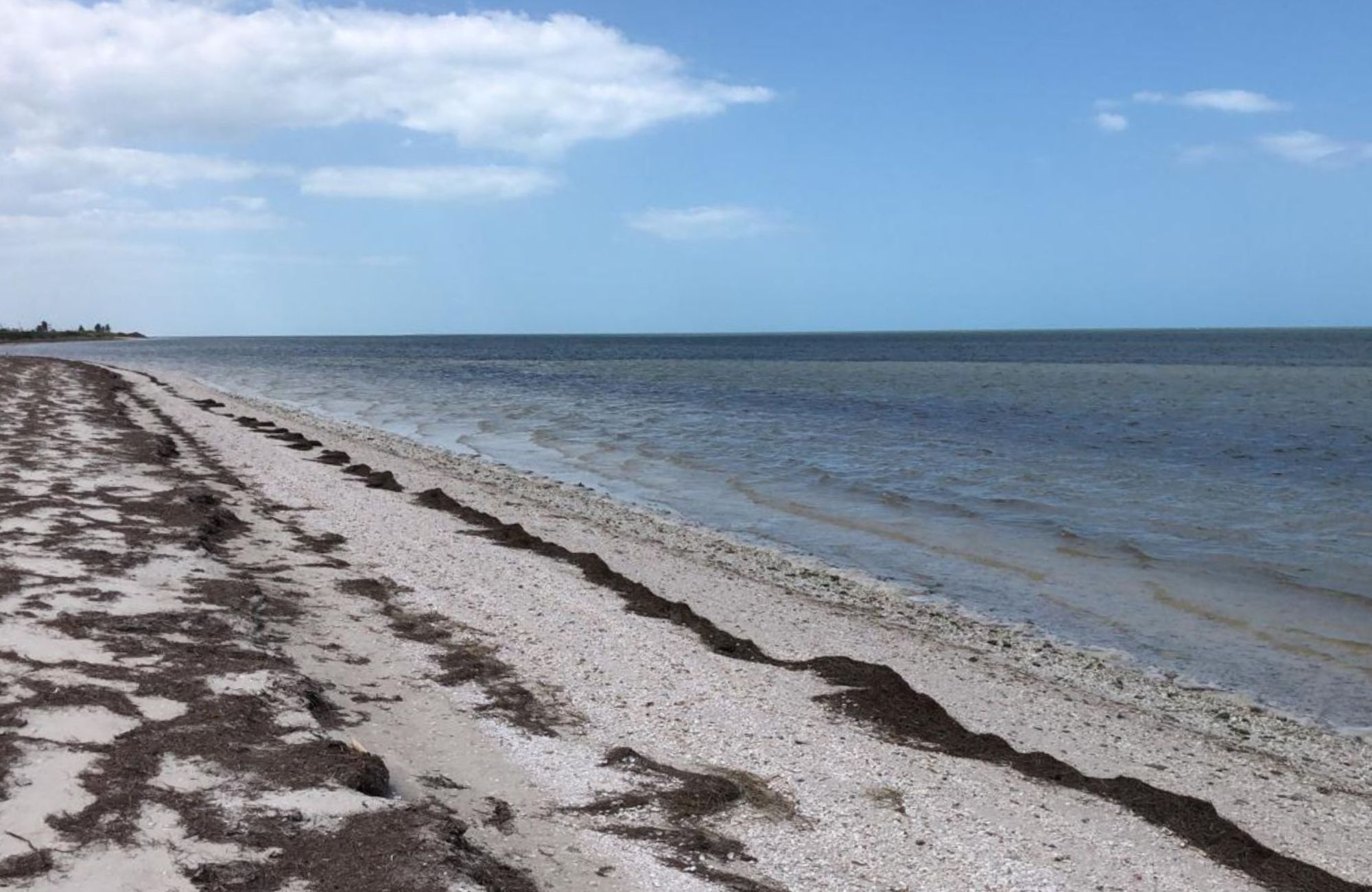 604 m2 land, clubhouses, pet-park, gardens and more. For sale Merida.