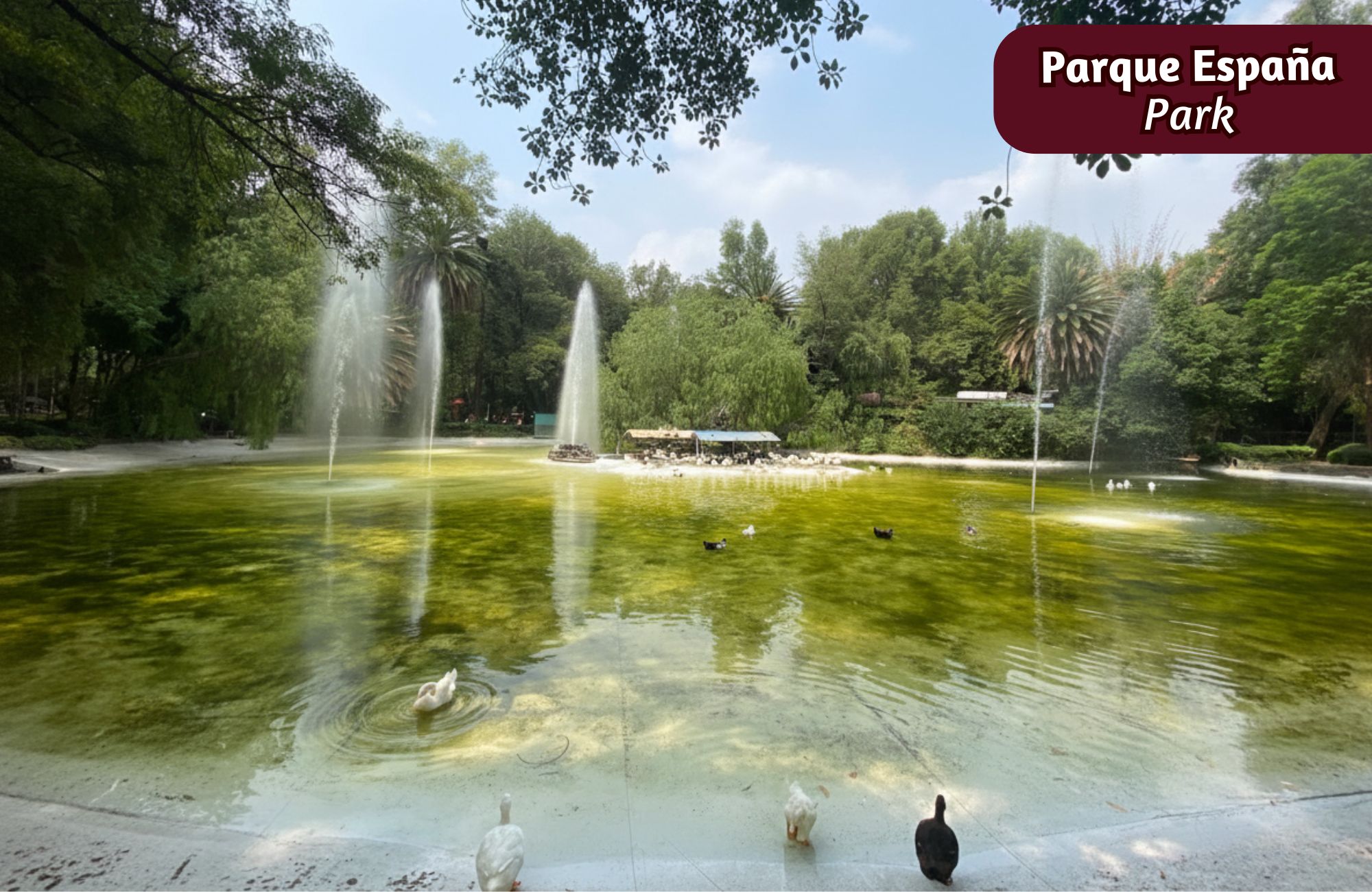 Penthouse con Sky Bar, cine y terraza en venta en &Aacute;lvaro Obreg&oacute;n, CDMX