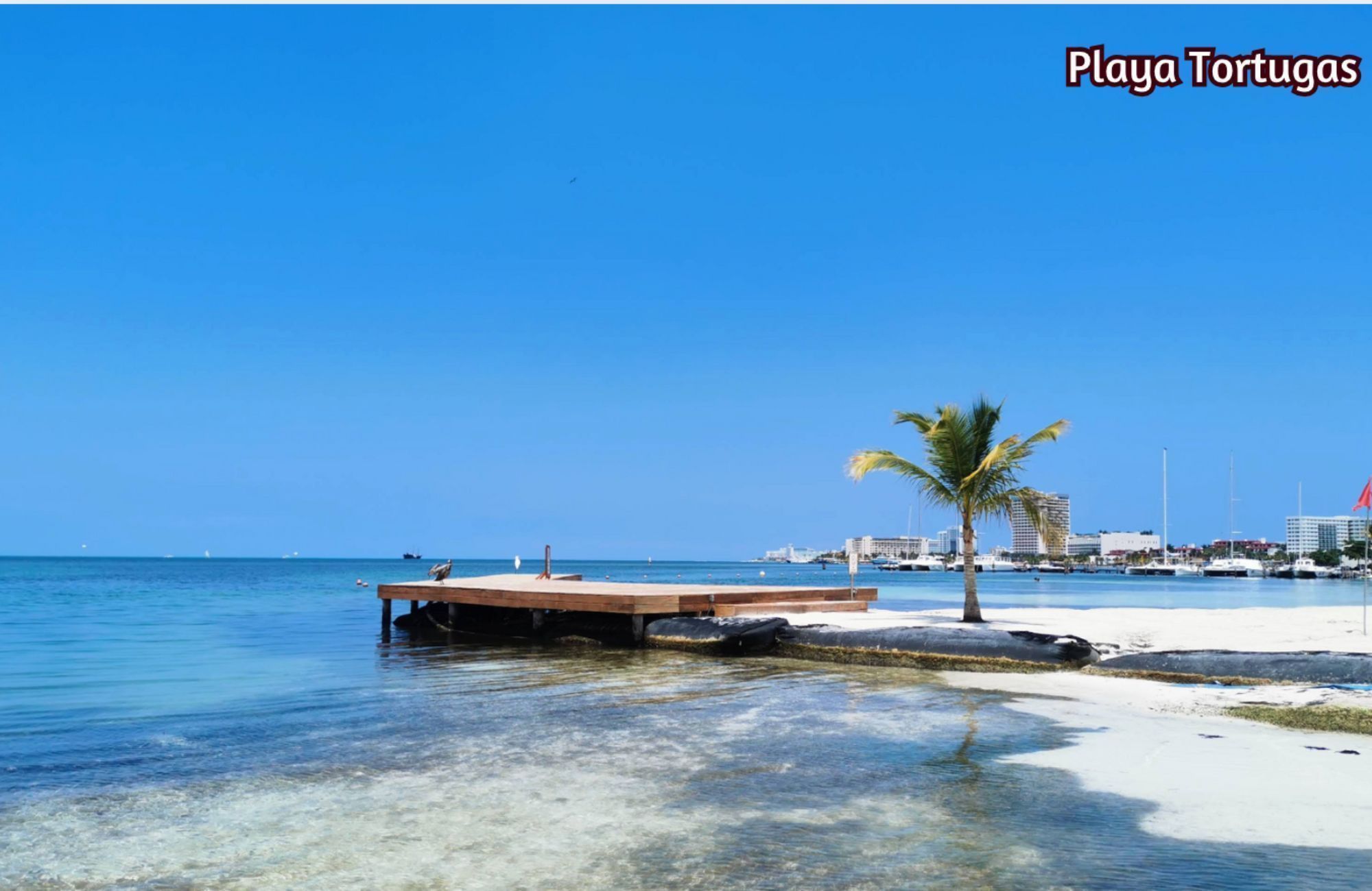 Luxury house with private pool, Green views, clubhouse with sports fields, in gated community Aqua, Cancun, for sale.