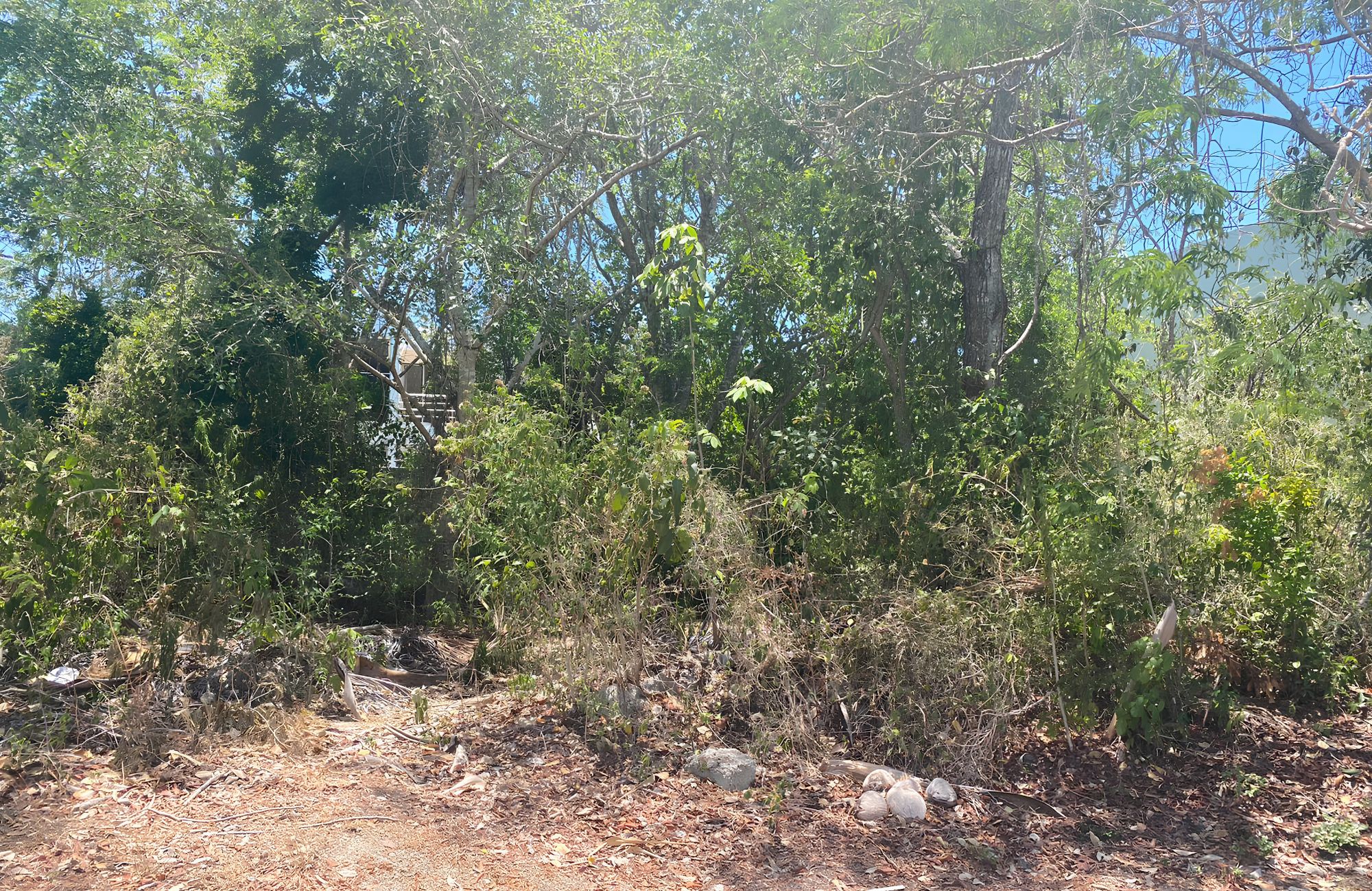 Residential single-family land for sale, Mayakoba, Playa del Carmen