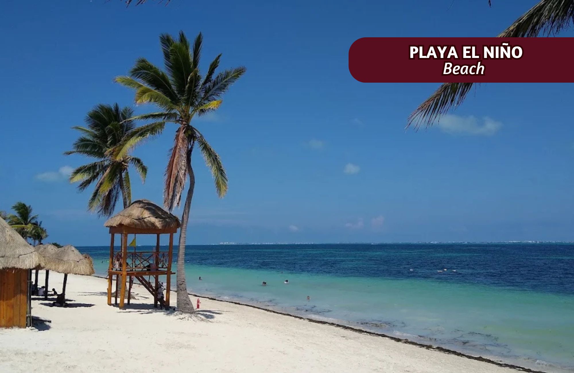 Penthouse for Sale with Private Rooftop and Panoramic Views in Bah&iacute;a Azul