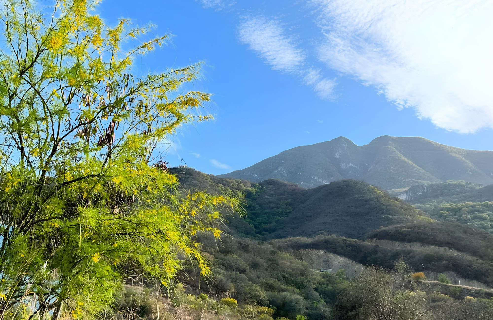 384 m&sup2; residential lot for sale, ready to build in Jardines de Valle Alto