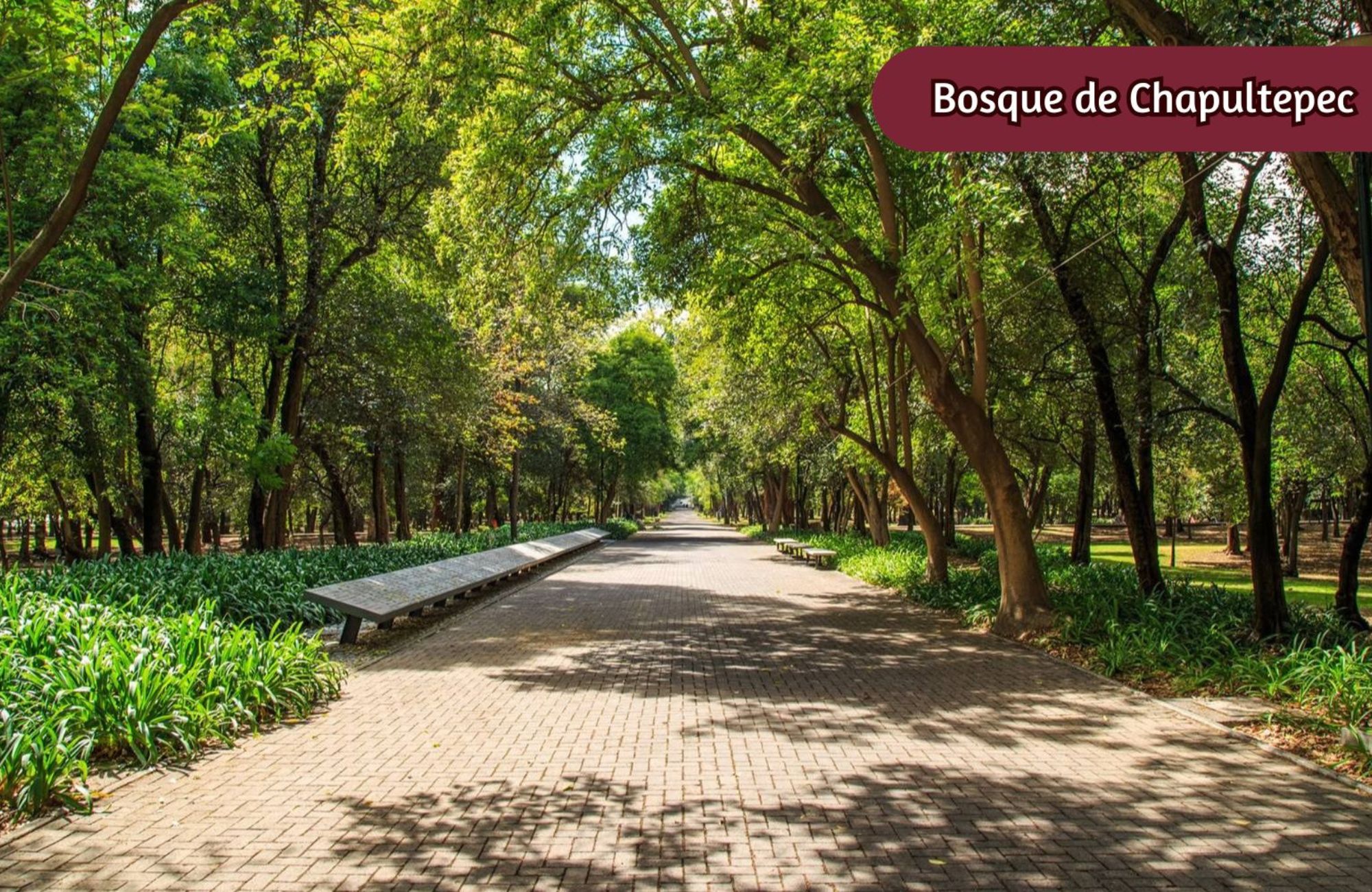 Condominium with spa, kids club, dog park, coworking, gym, cigar room, event room, immediate delivery, sale in Bosque Real for sale