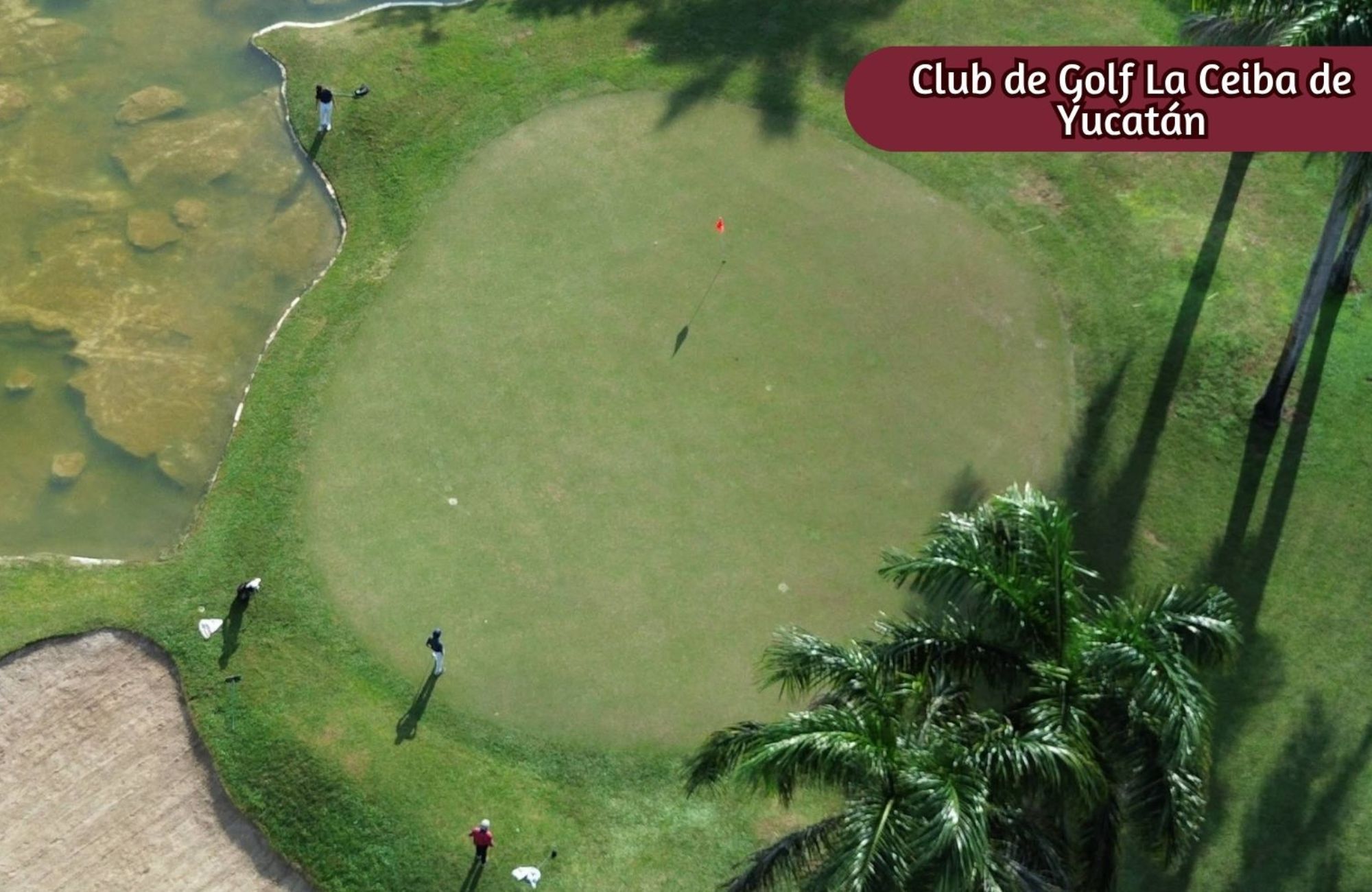 House with Private Pool, Wine Cellar, and Garden for Sale, Residencial El Origen, M&eacute;rida