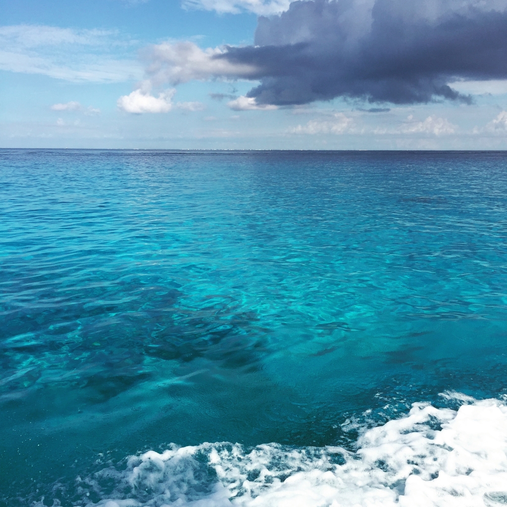 Condominio con alberca, cancha de p&aacute;del, bar, asador, jacuzzi, en venta Cozumel