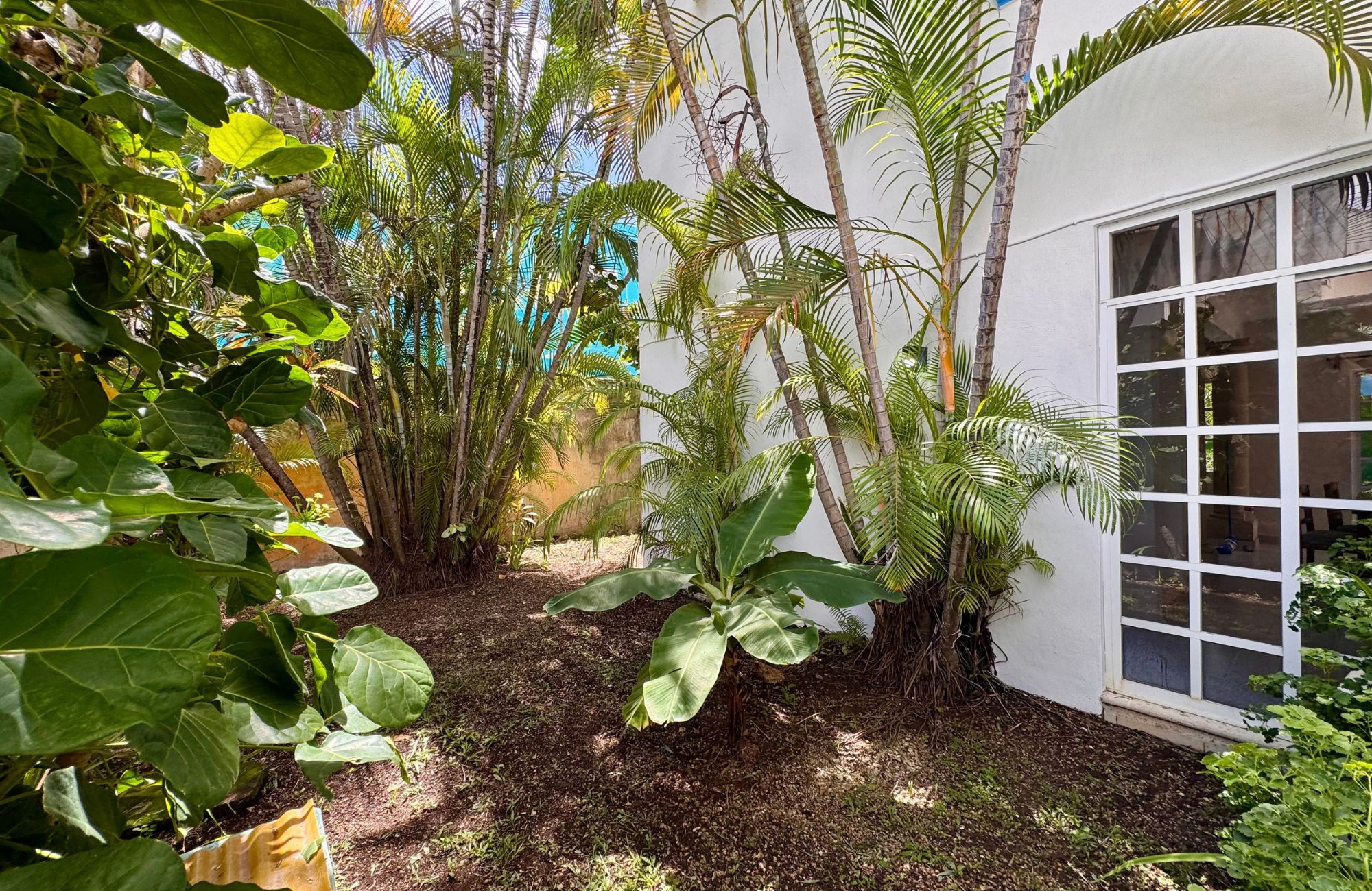 House REDUCED PRICE with private pool with LED lighting, 3.80 meter high ceilings, 5 minutes from the beach, for sale in Cozumel island.