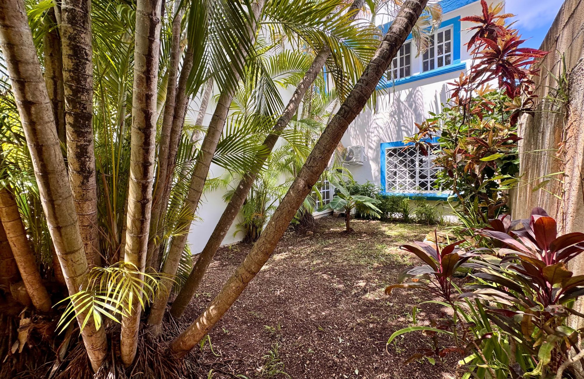 House REDUCED PRICE with private pool with LED lighting, 3.80 meter high ceilings, 5 minutes from the beach, for sale in Cozumel island.