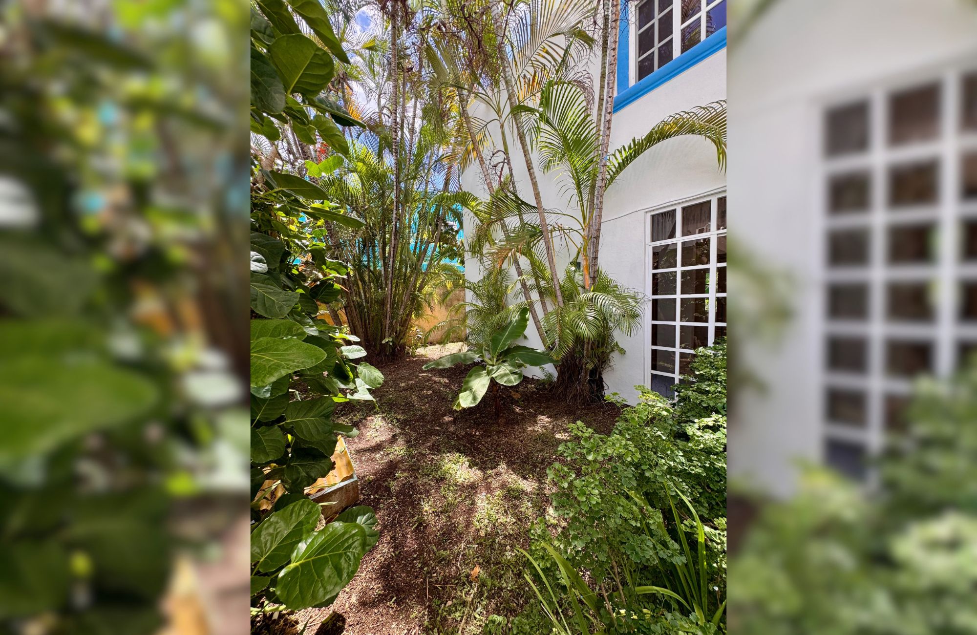 House REDUCED PRICE with private pool with LED lighting, 3.80 meter high ceilings, 5 minutes from the beach, for sale in Cozumel island.