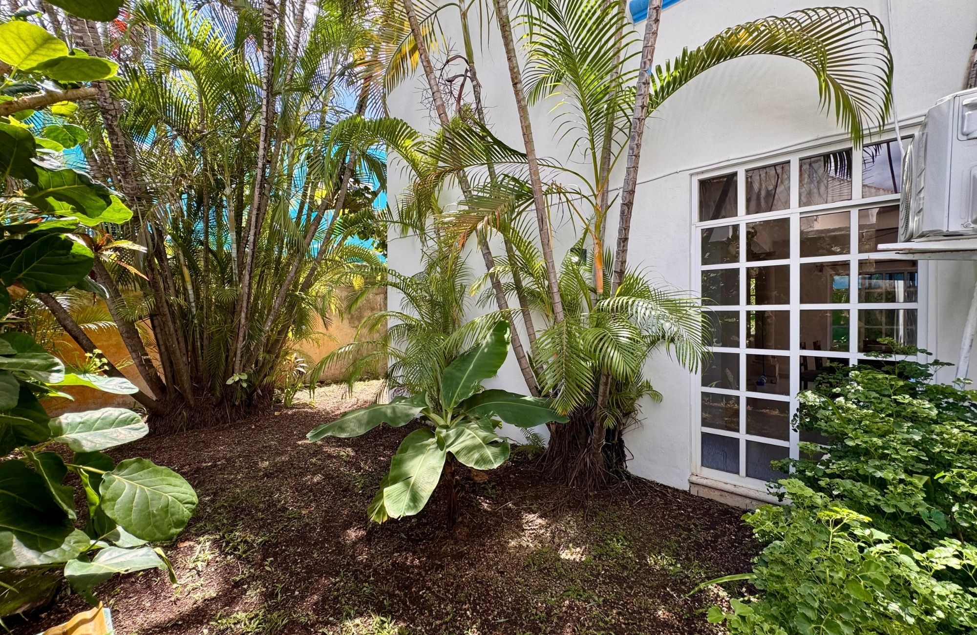 House REDUCED PRICE with private pool with LED lighting, 3.80 meter high ceilings, 5 minutes from the beach, for sale in Cozumel island.
