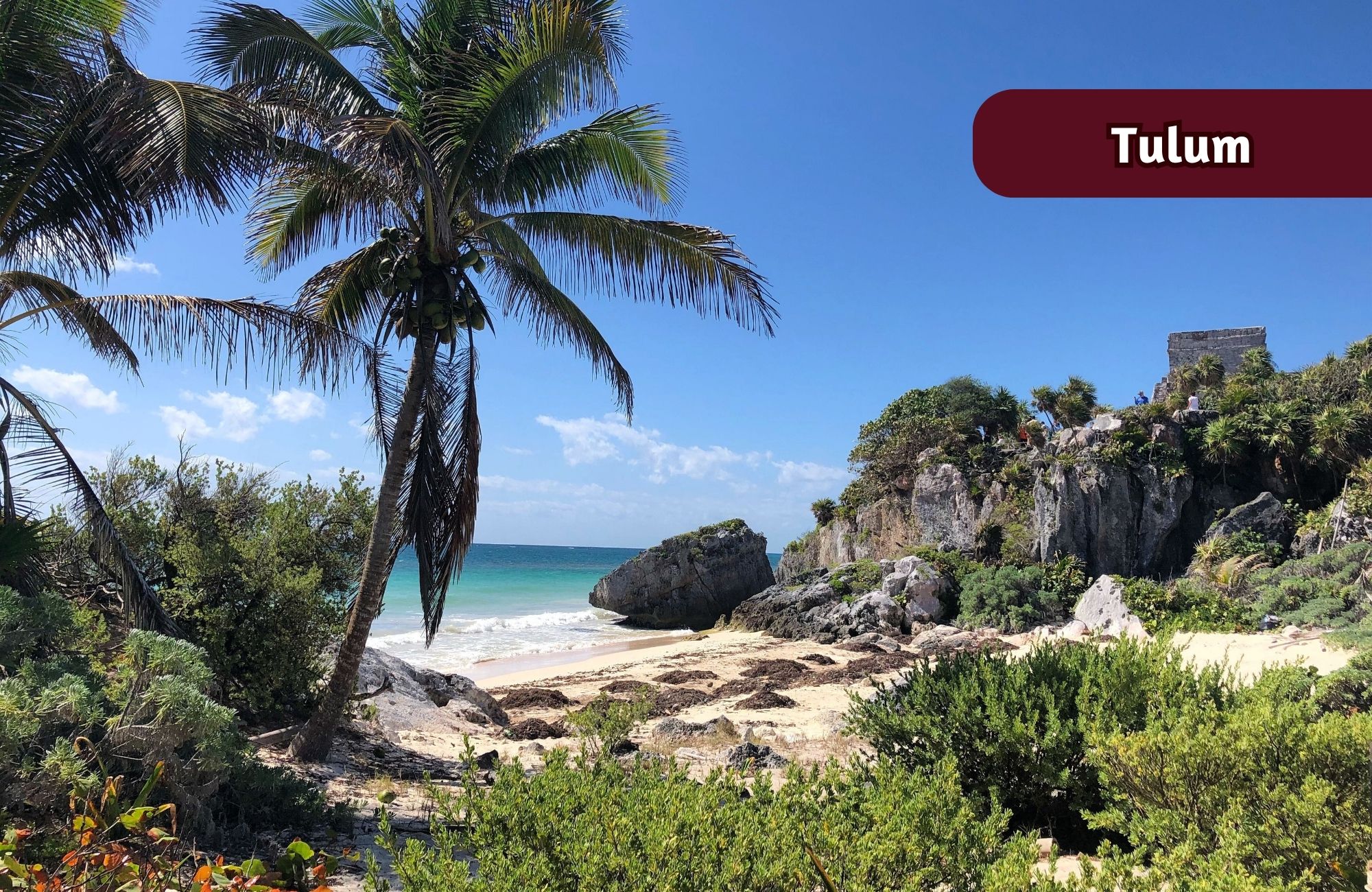 Single-family lot for sale with pools, cenote, movie theater, and green areas