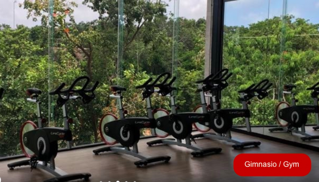 Penthouse with infinity pool, bar, yoga area, and gym in Aldea Zam&aacute;.